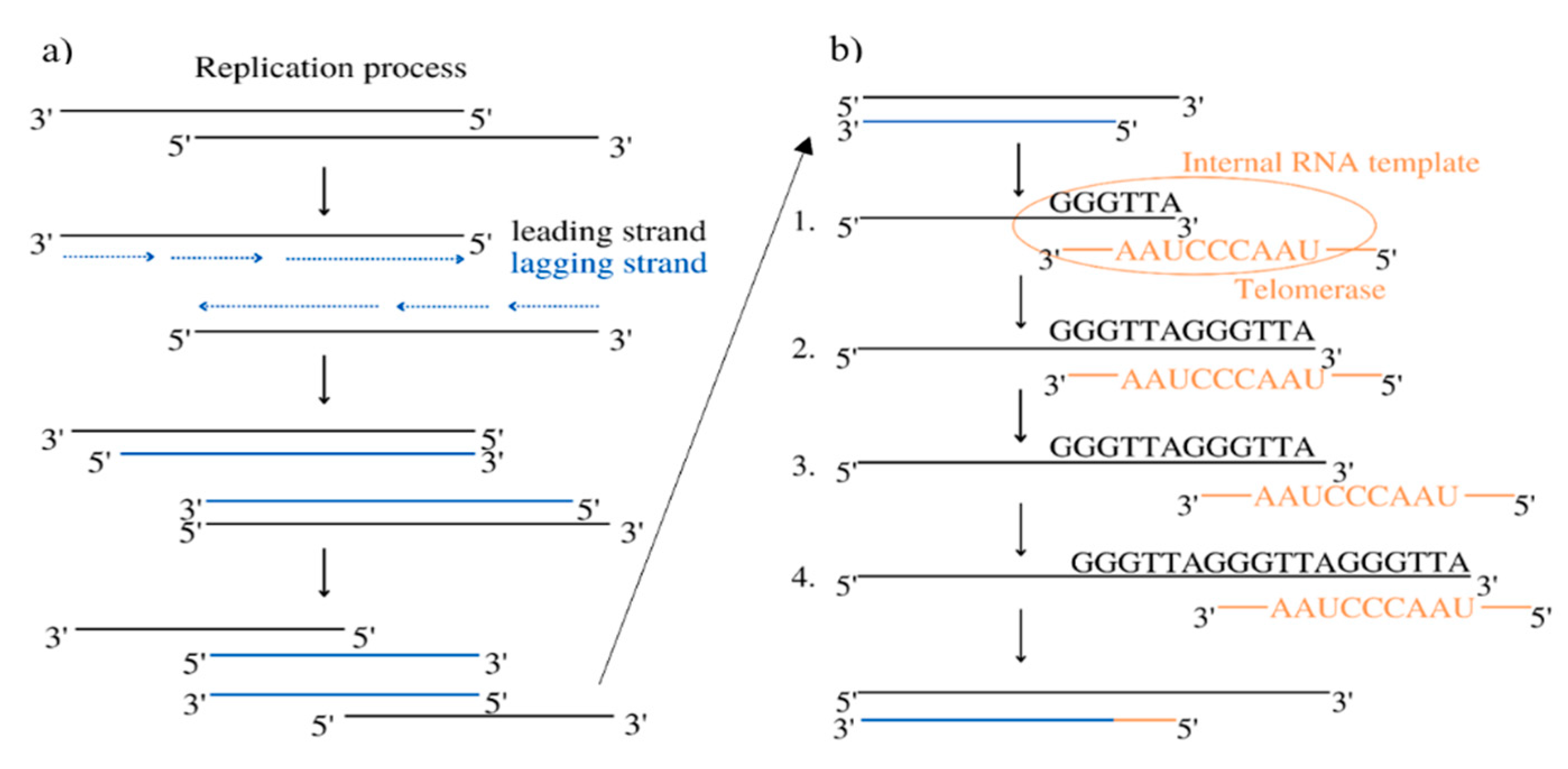 Preprints 95364 g001