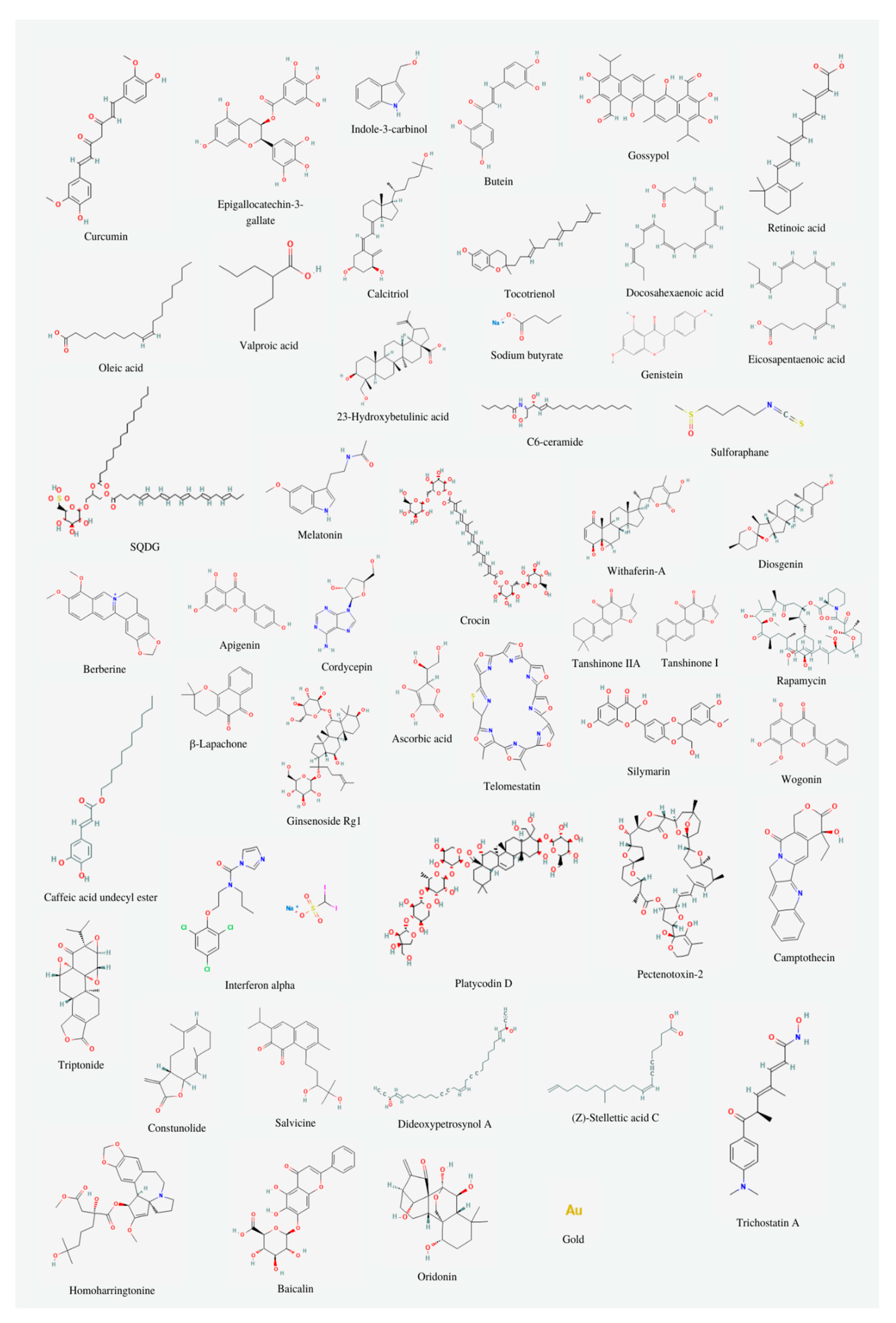 Preprints 95364 g002