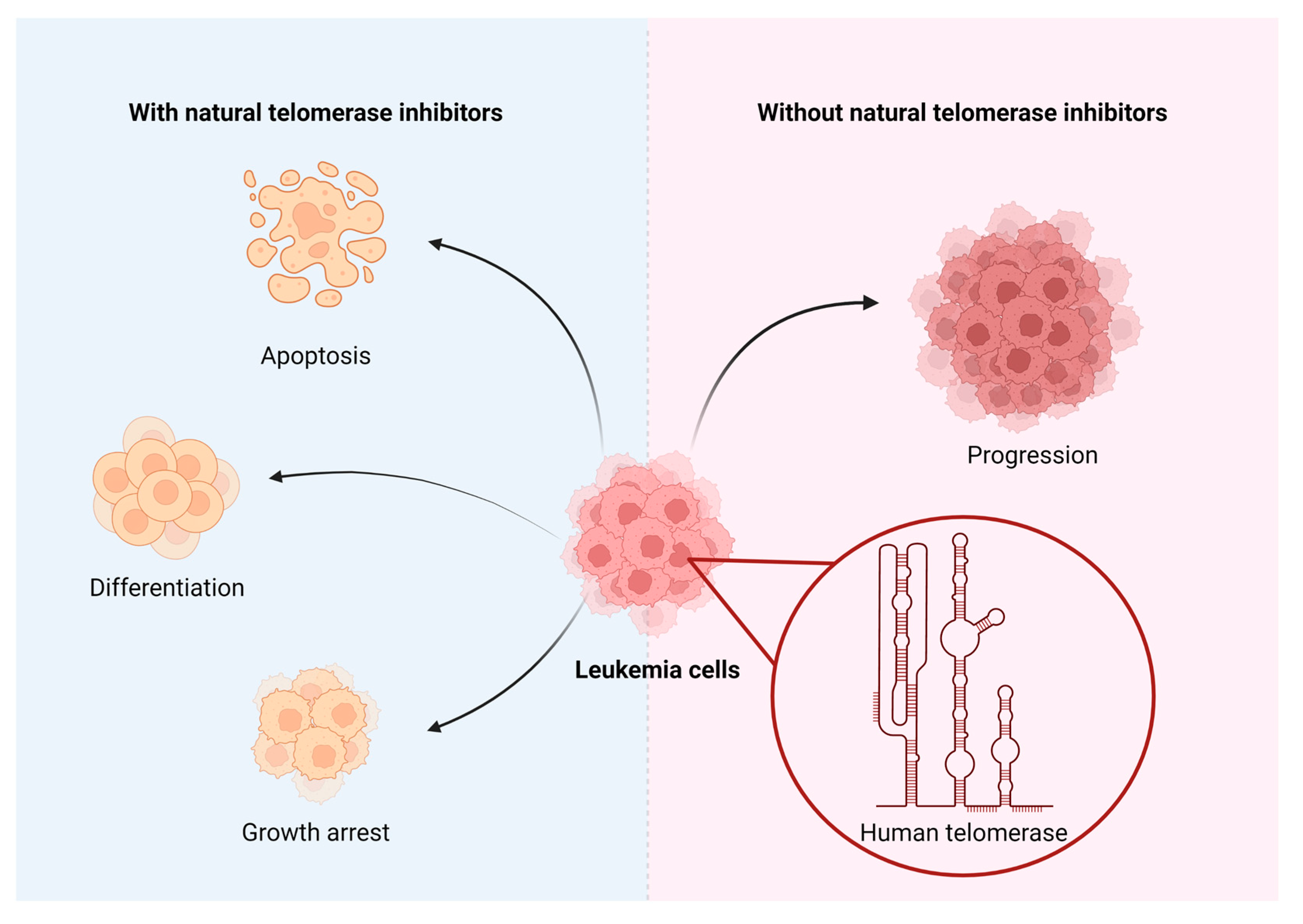 Preprints 95364 g003