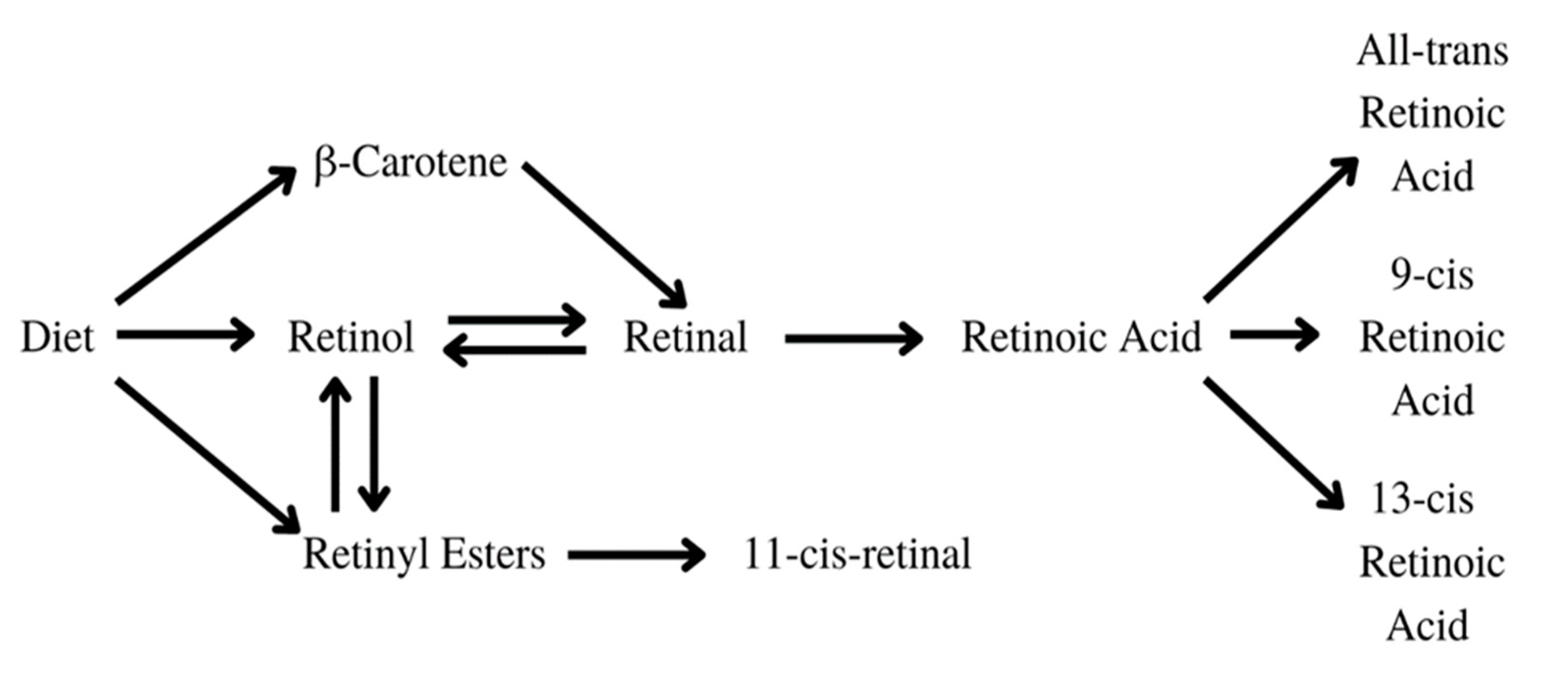 Preprints 95364 g006