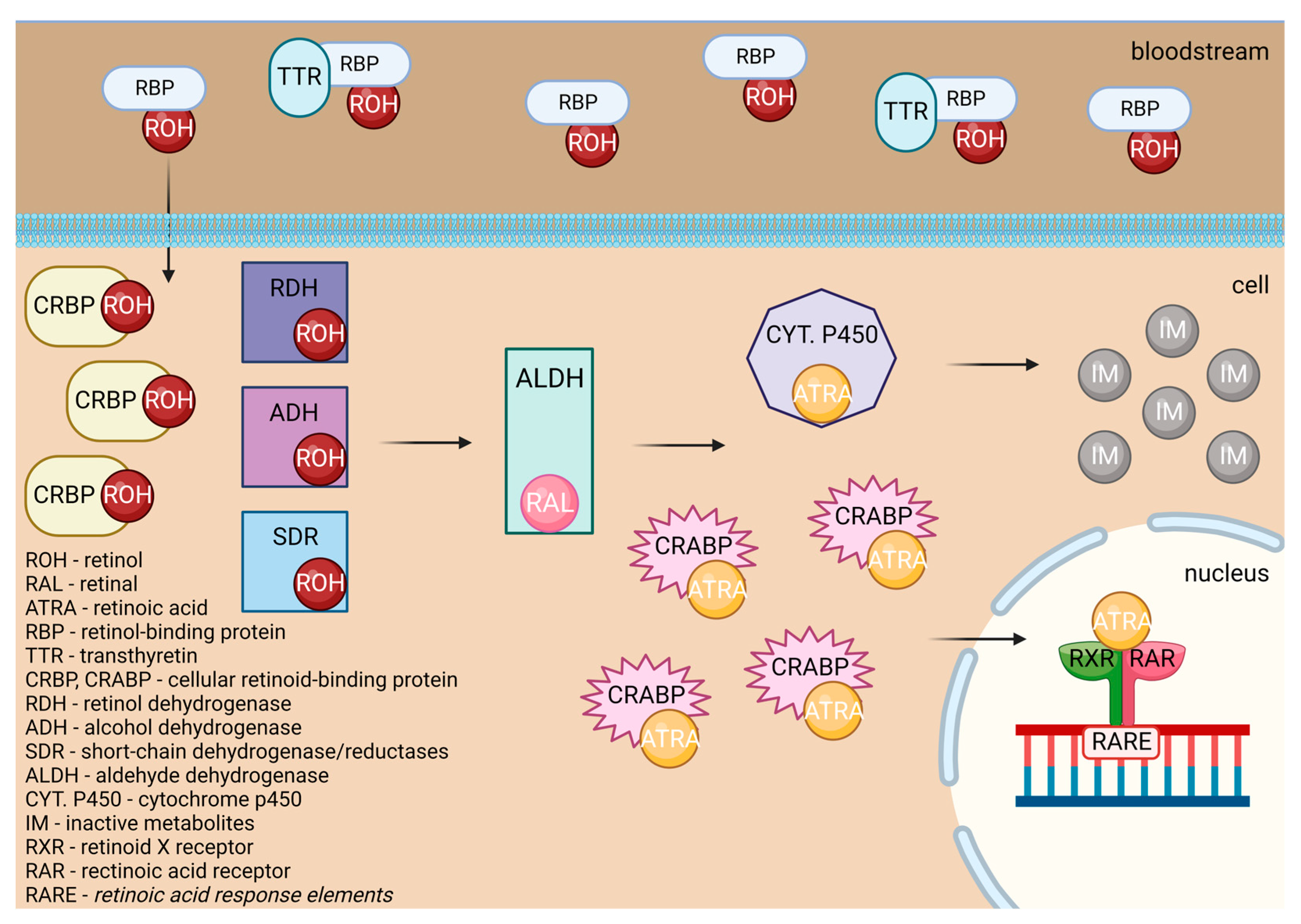 Preprints 95364 g007