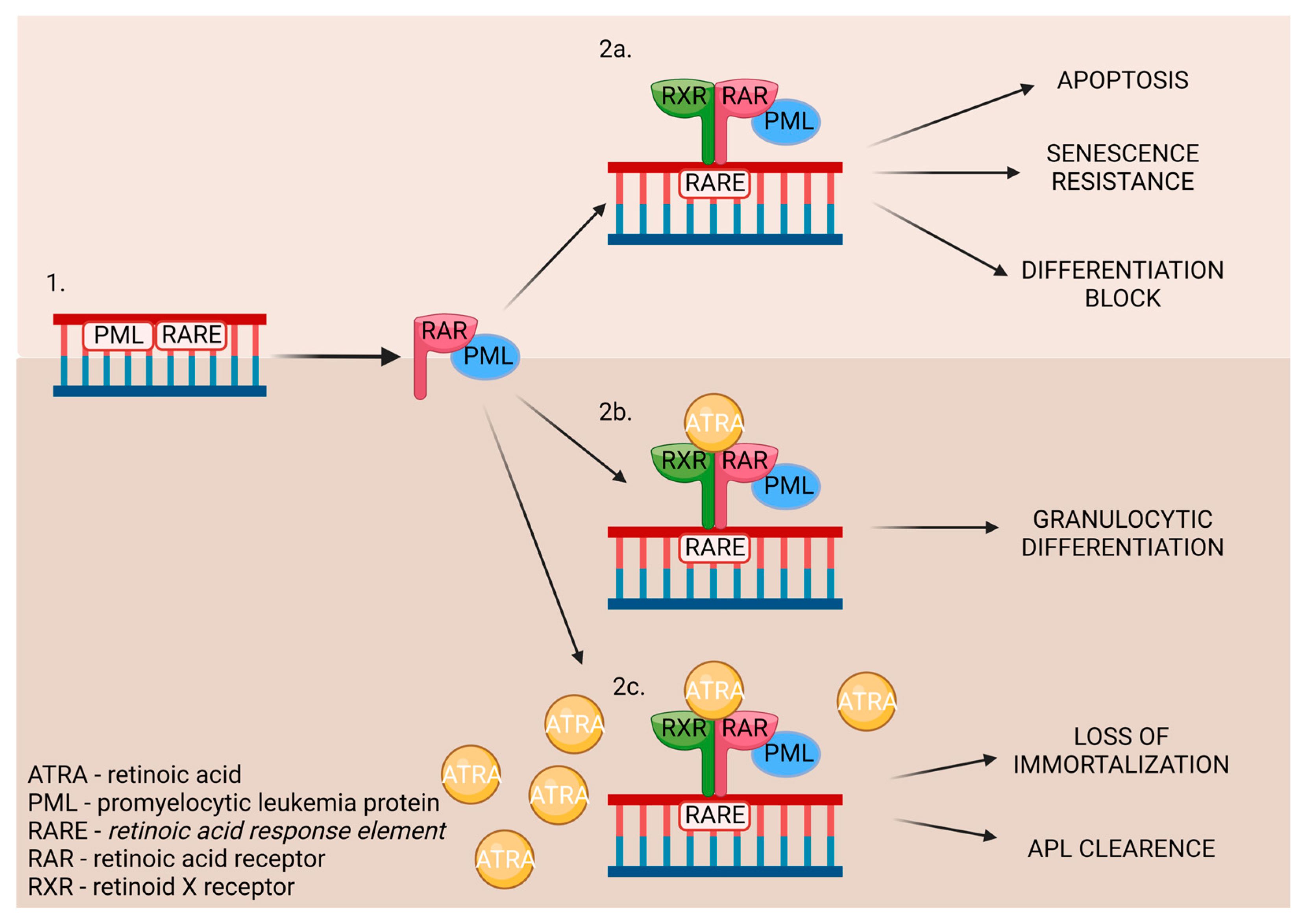 Preprints 95364 g008