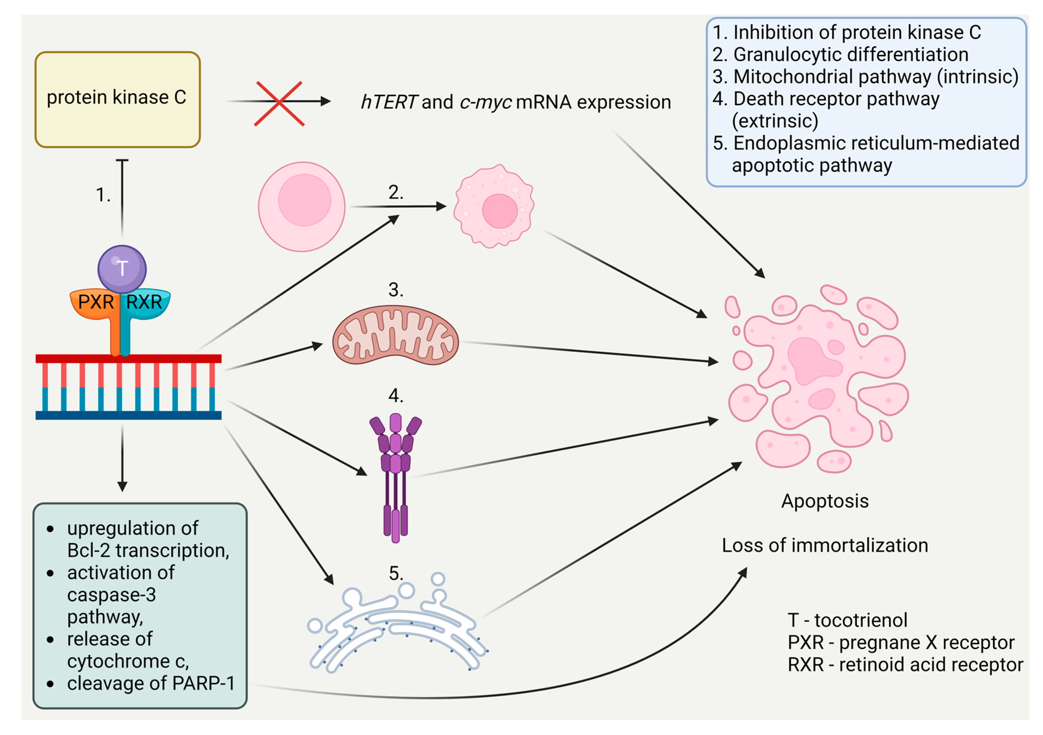 Preprints 95364 g010