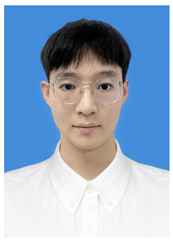 Preprints 156130 i004