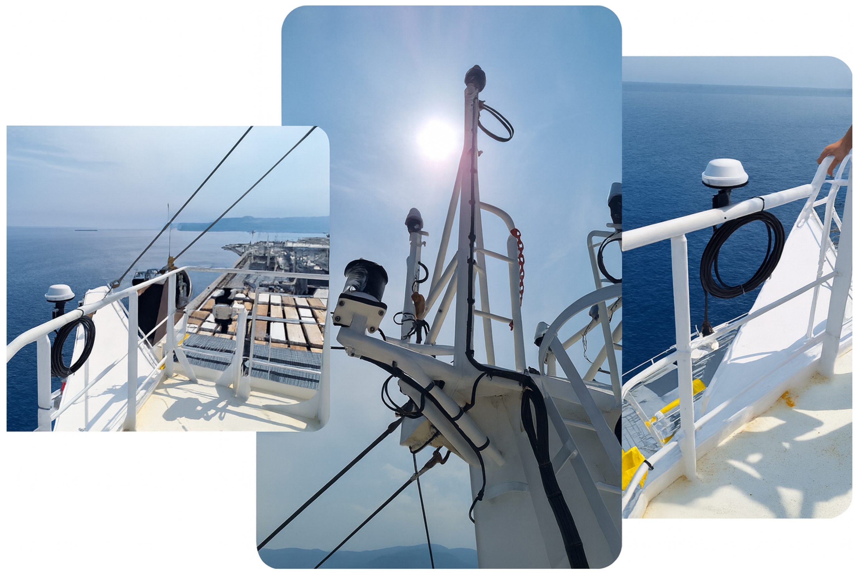 Preprints 181902 g002