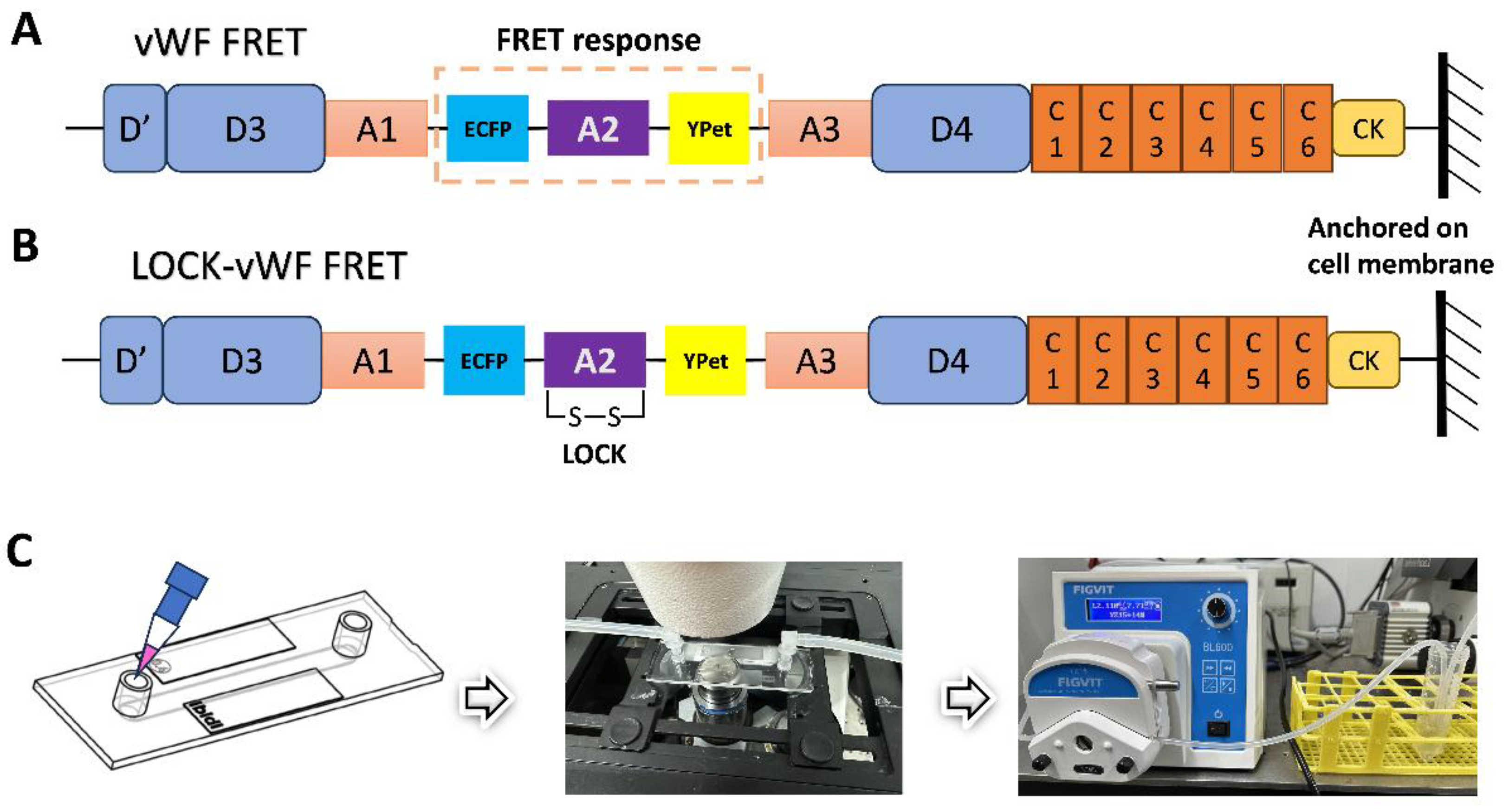 Preprints 149097 g001