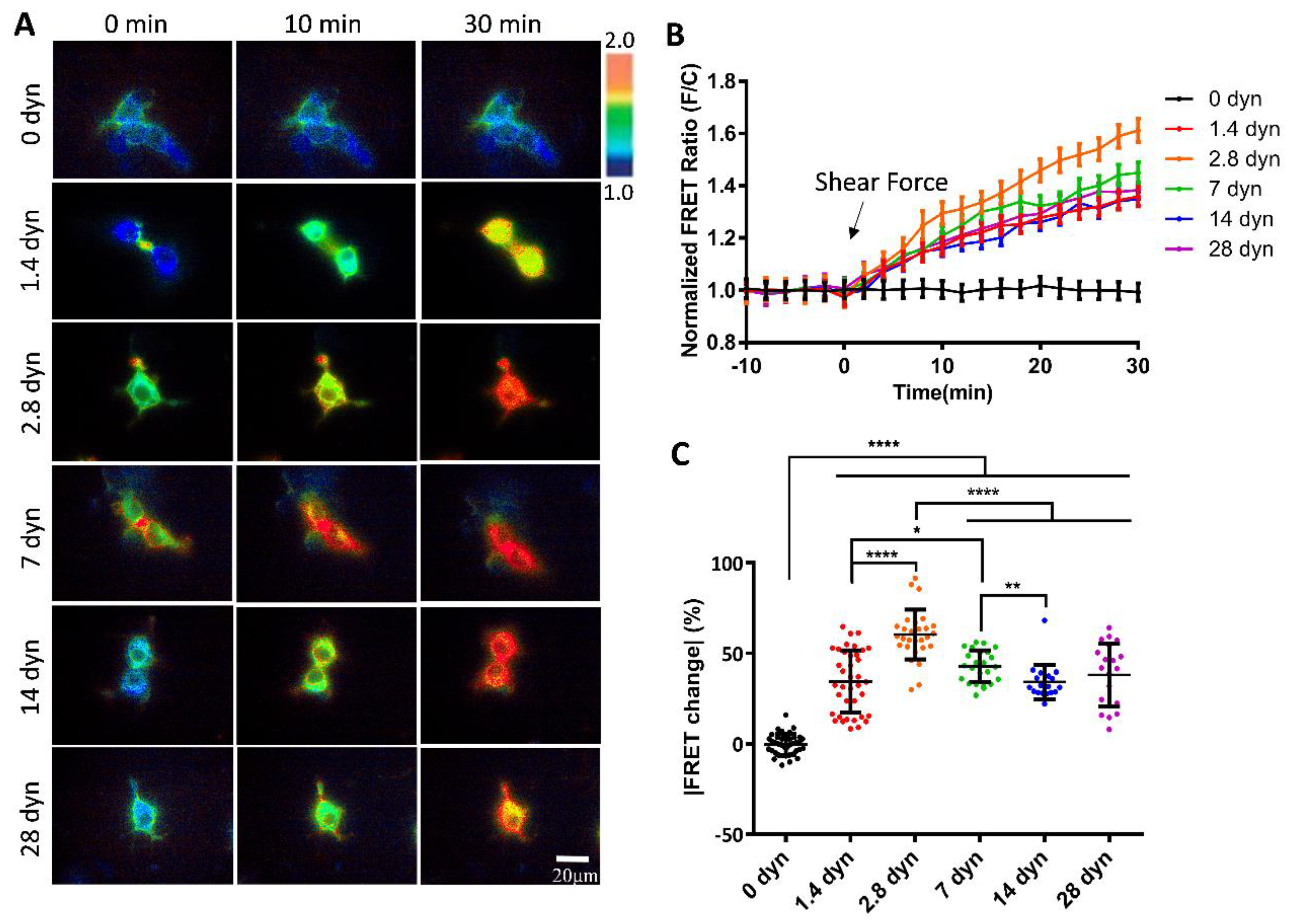 Preprints 149097 g002