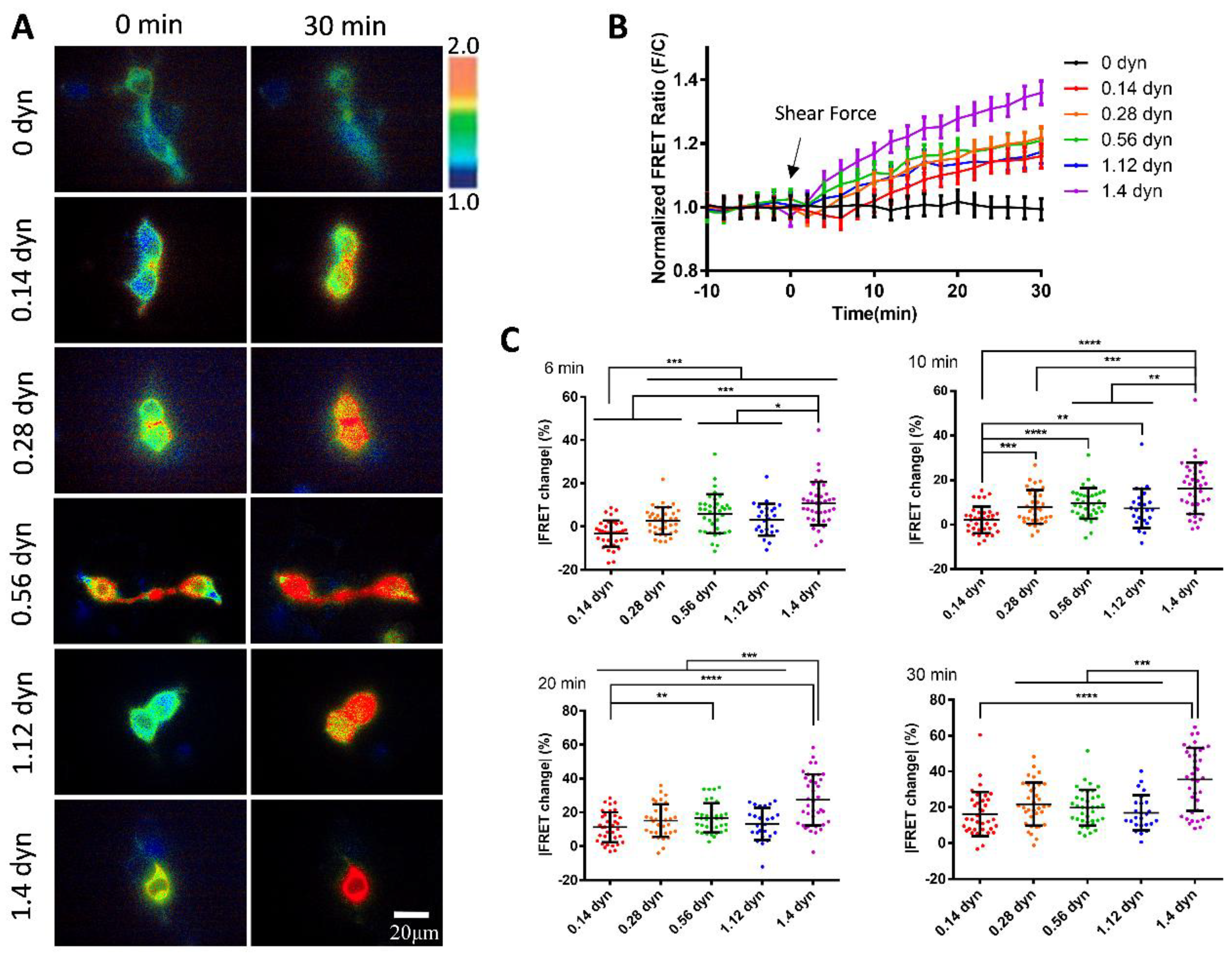 Preprints 149097 g003
