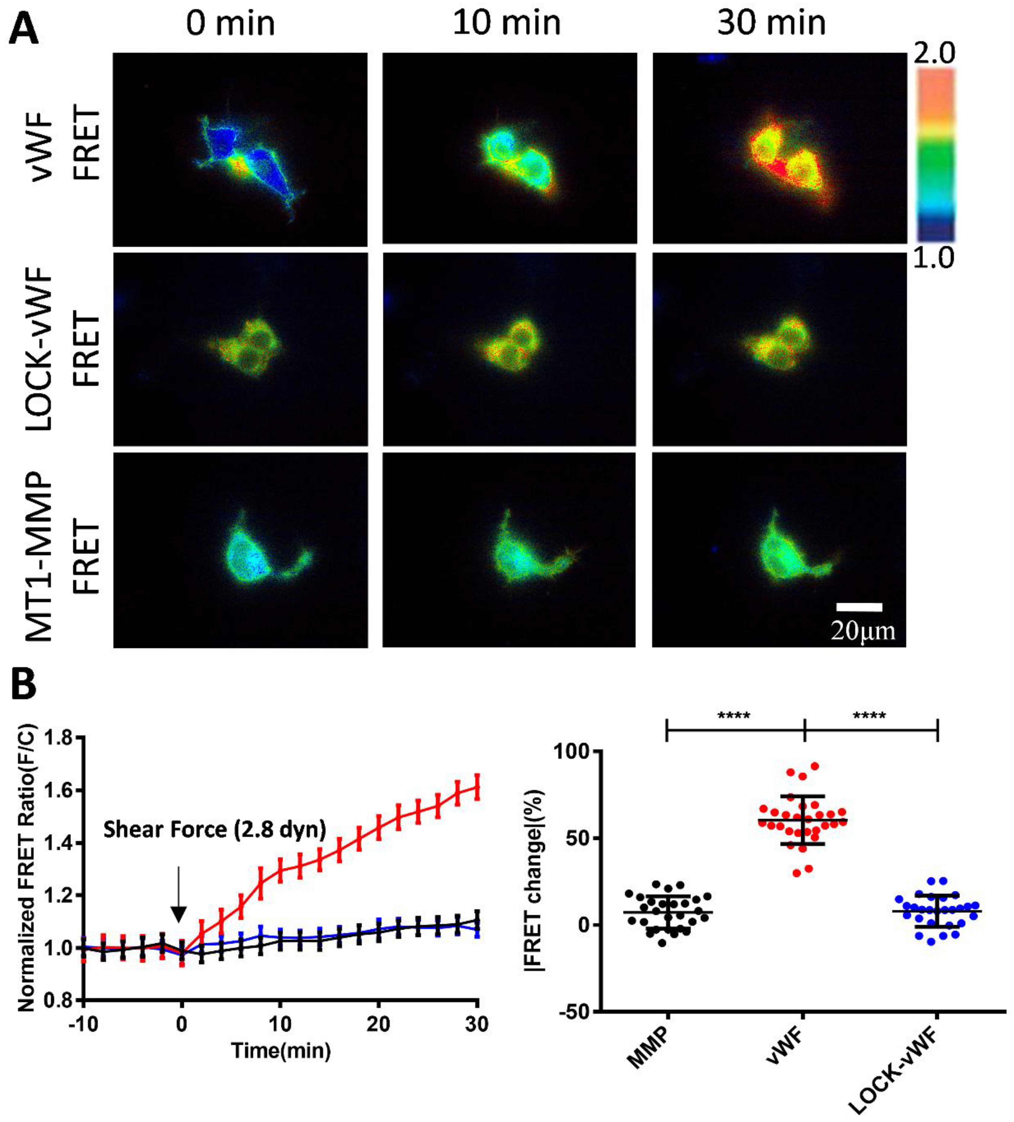 Preprints 149097 g004