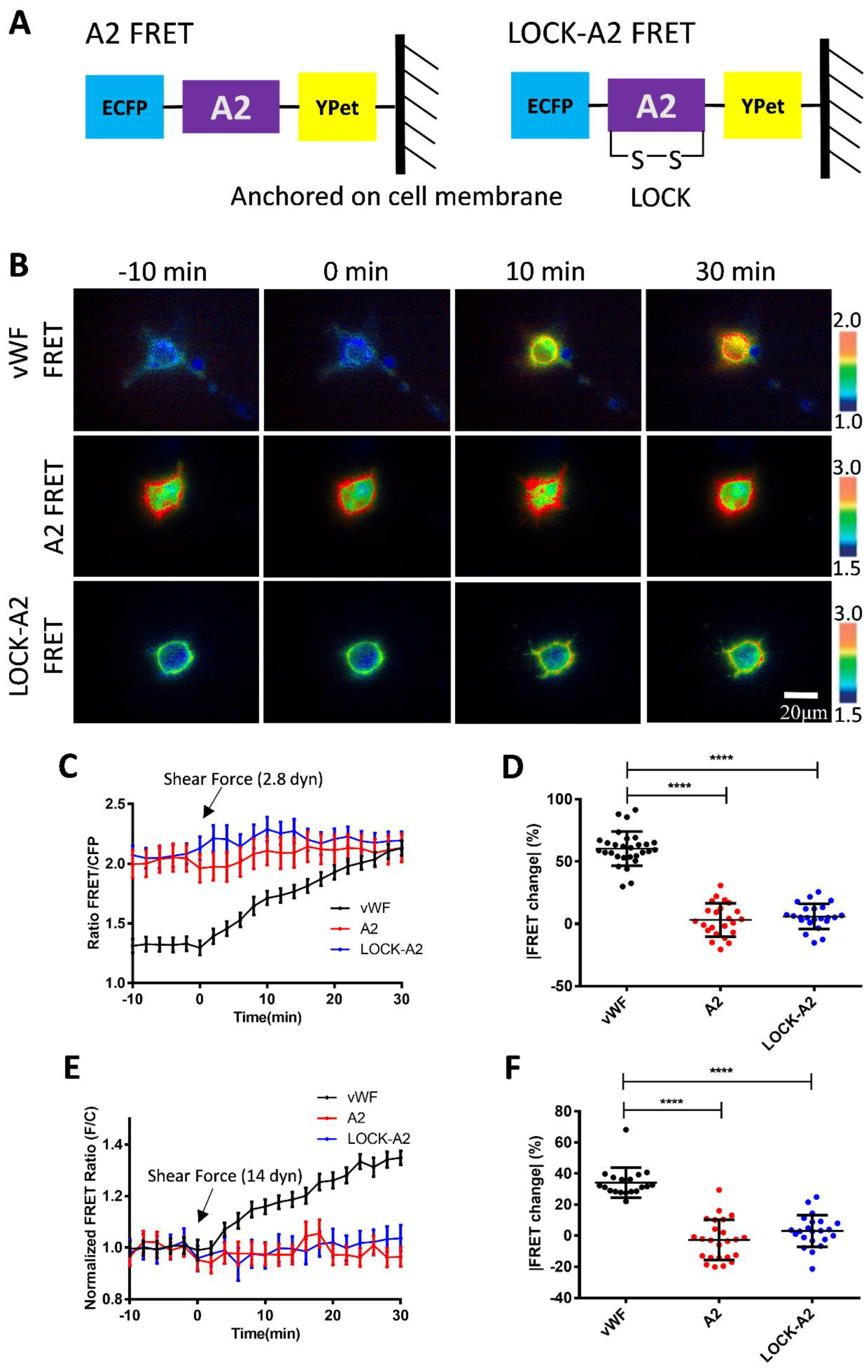 Preprints 149097 g005