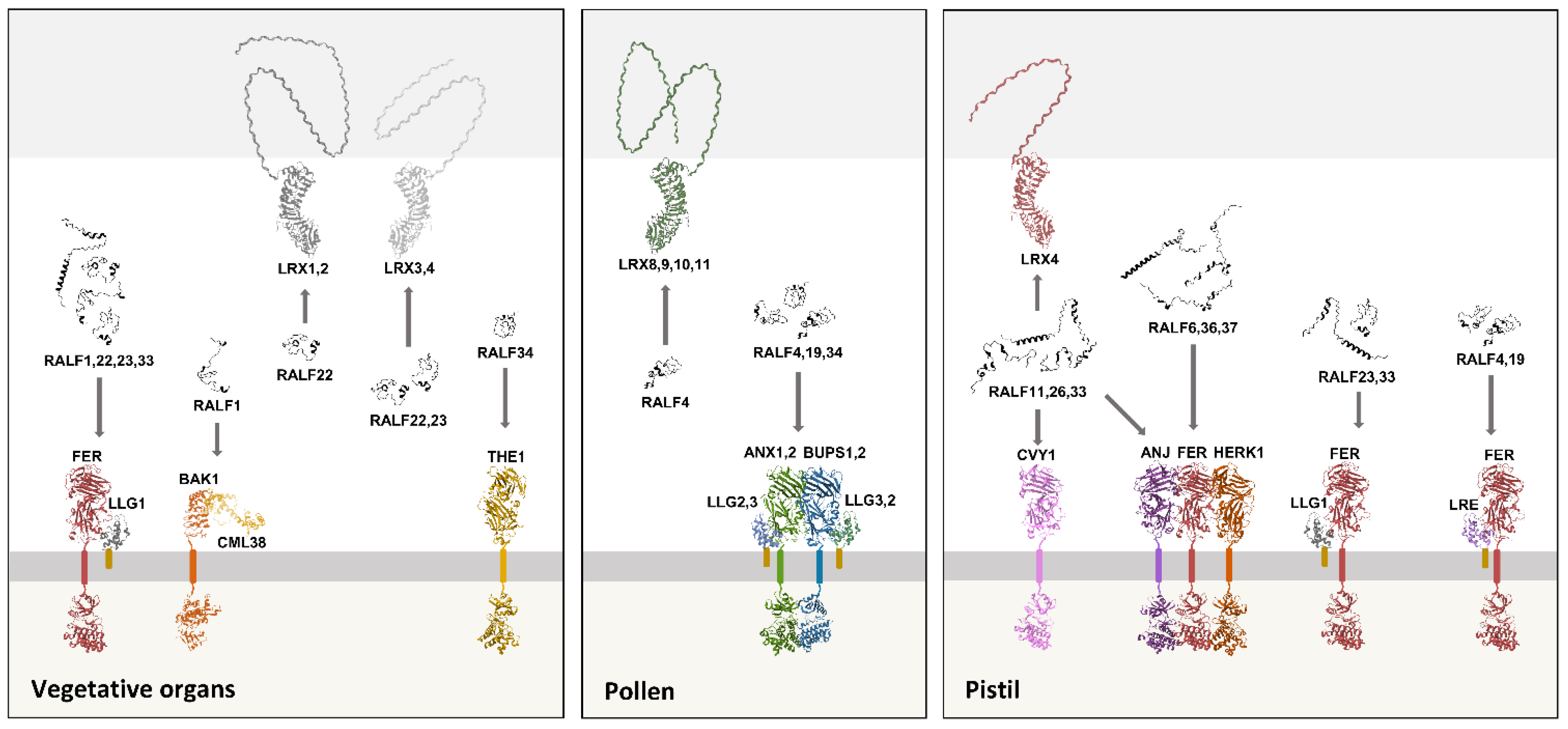 Preprints 184899 g002
