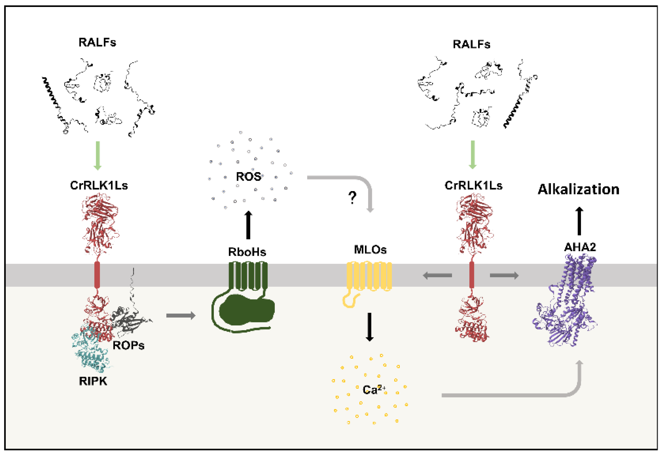 Preprints 184899 g003
