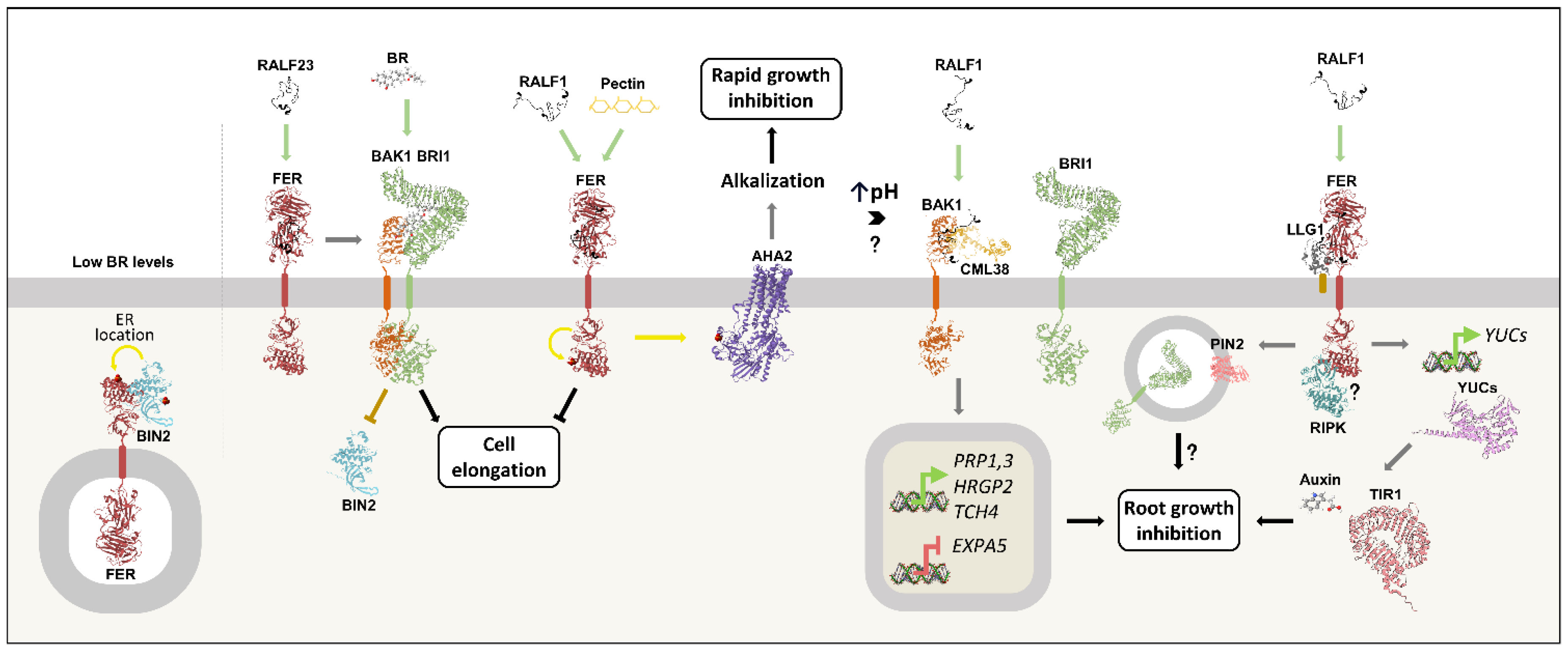 Preprints 184899 g004