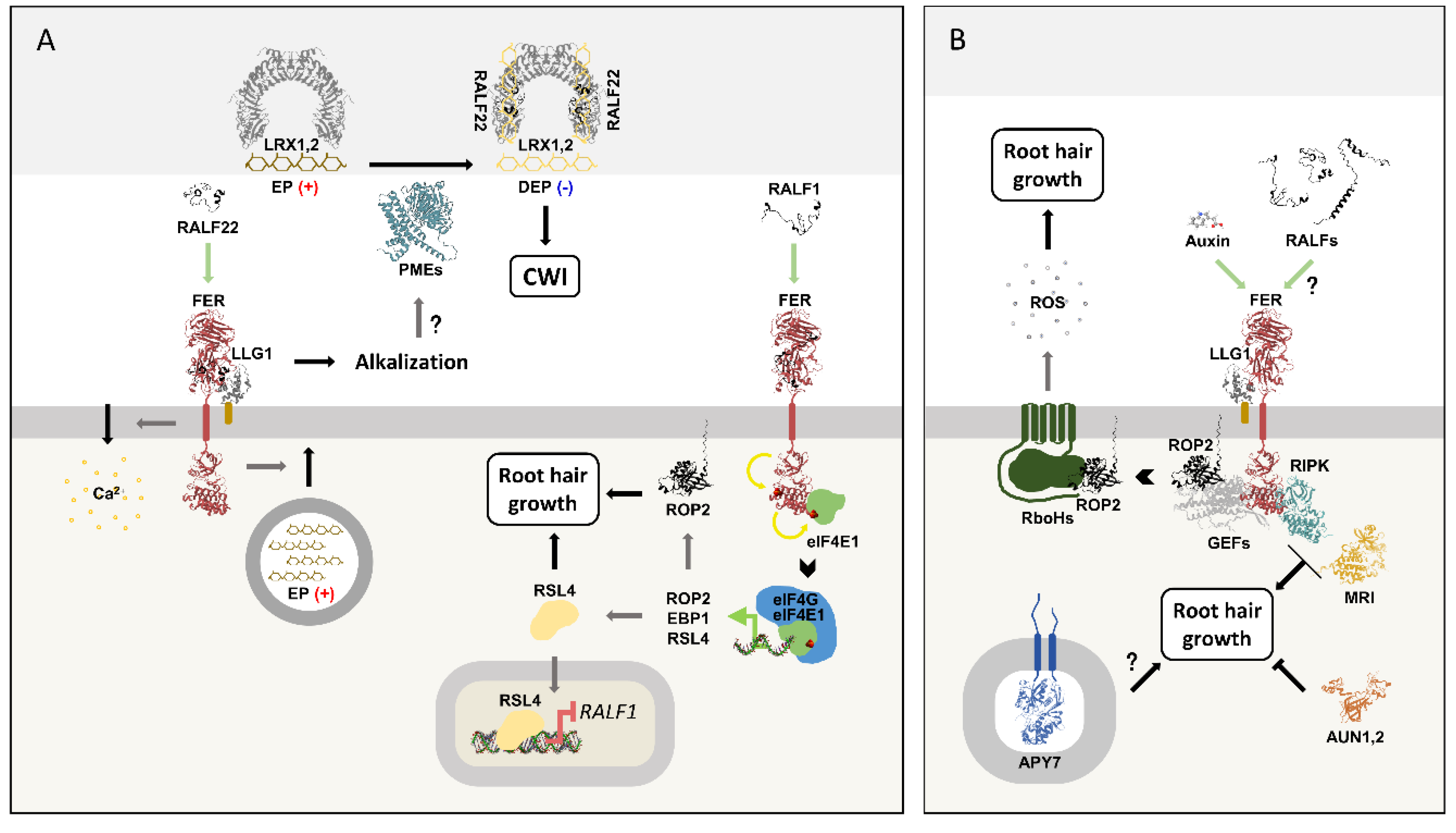 Preprints 184899 g006