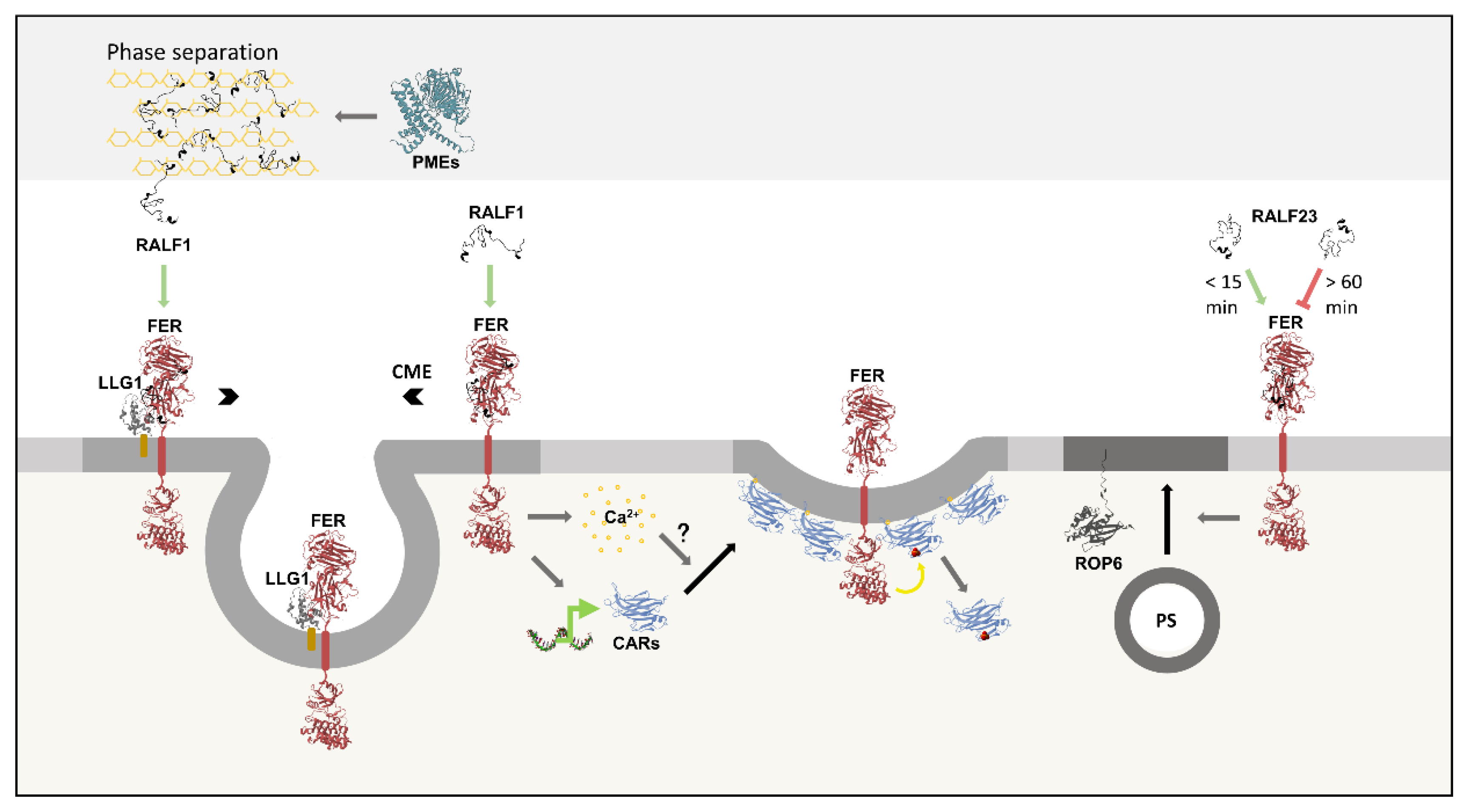 Preprints 184899 g007