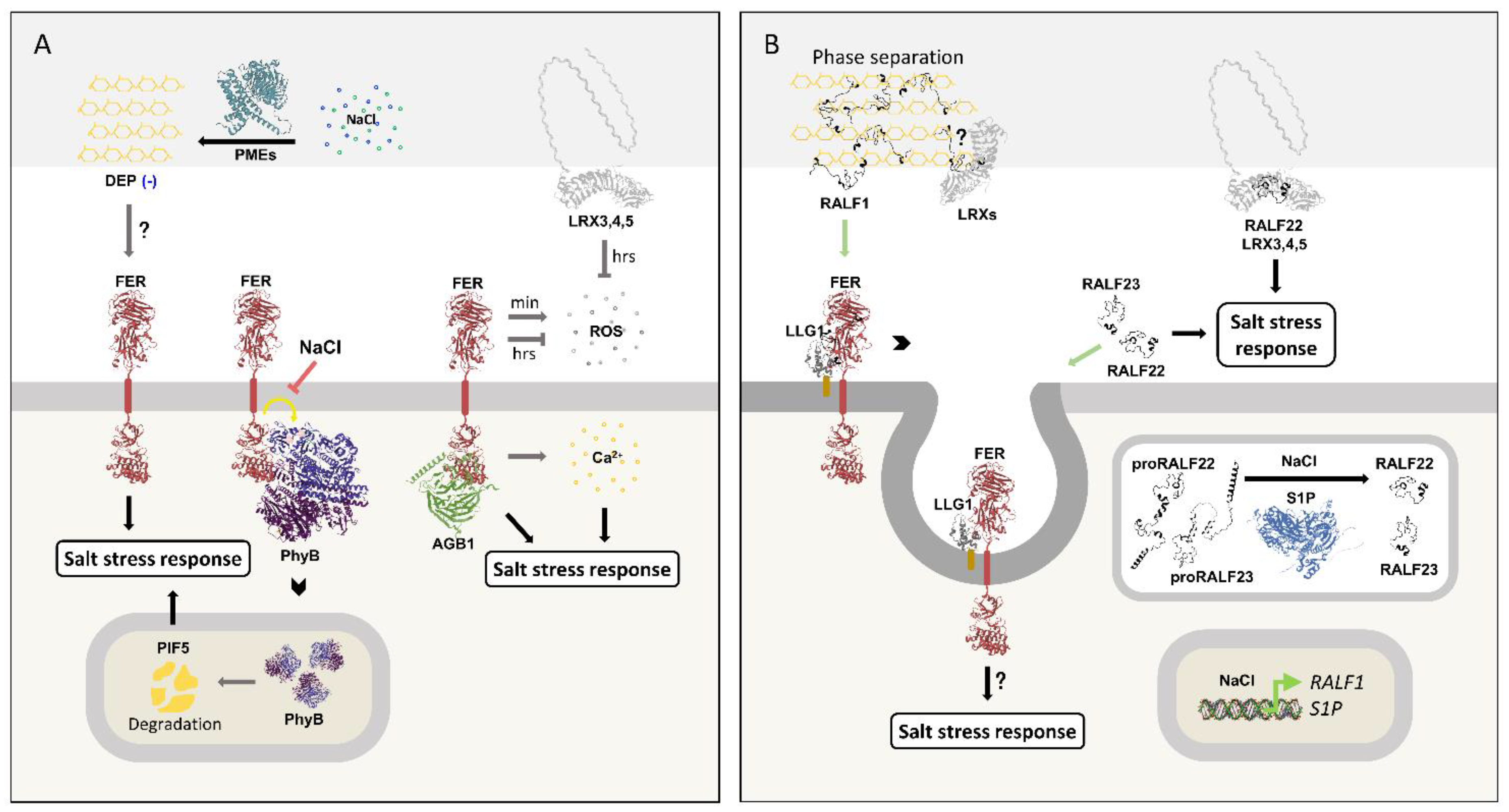 Preprints 184899 g009