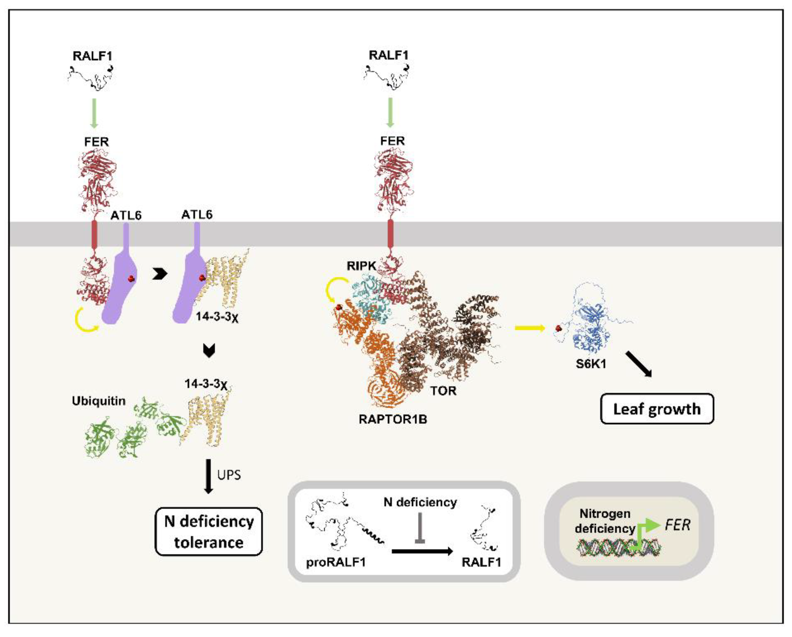 Preprints 184899 g010