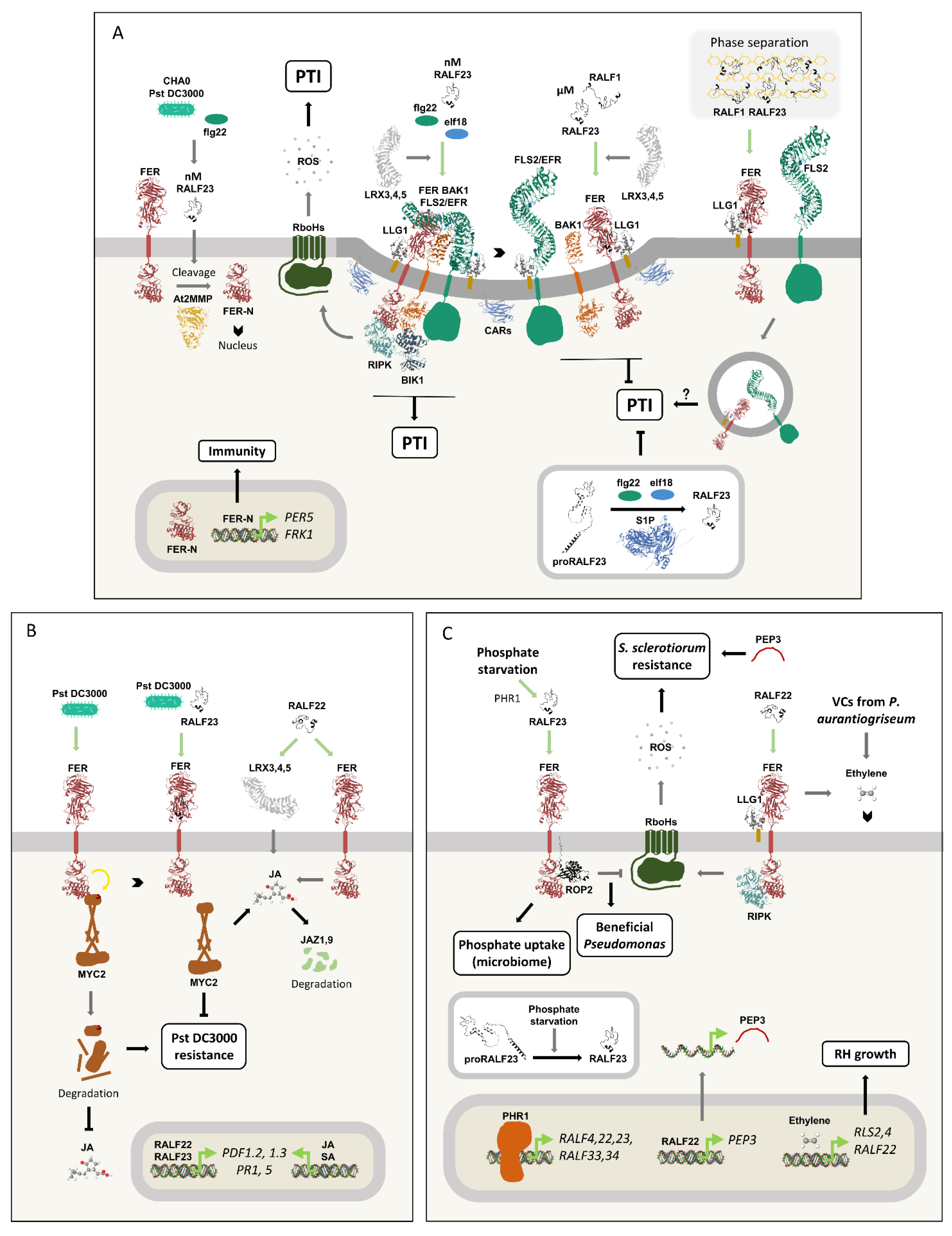 Preprints 184899 g011
