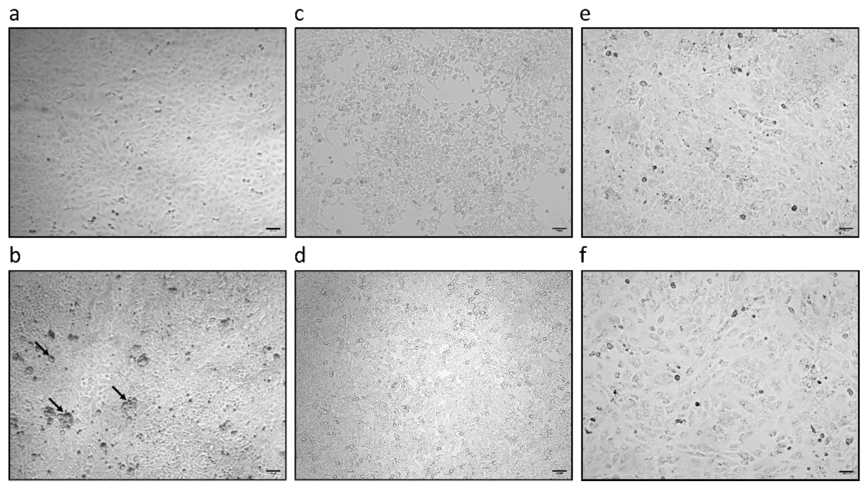 Preprints 186200 g002
