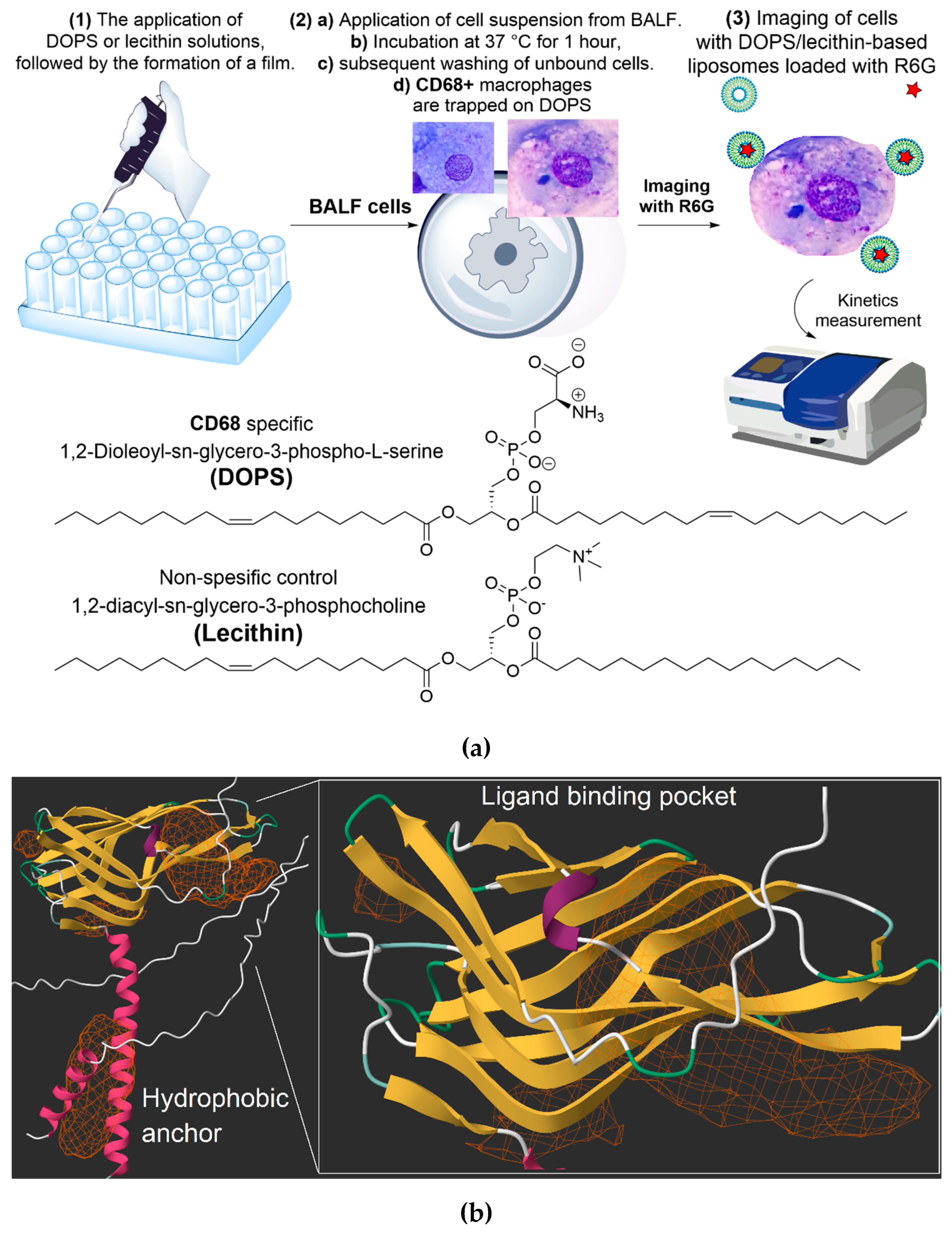Preprints 171404 g001