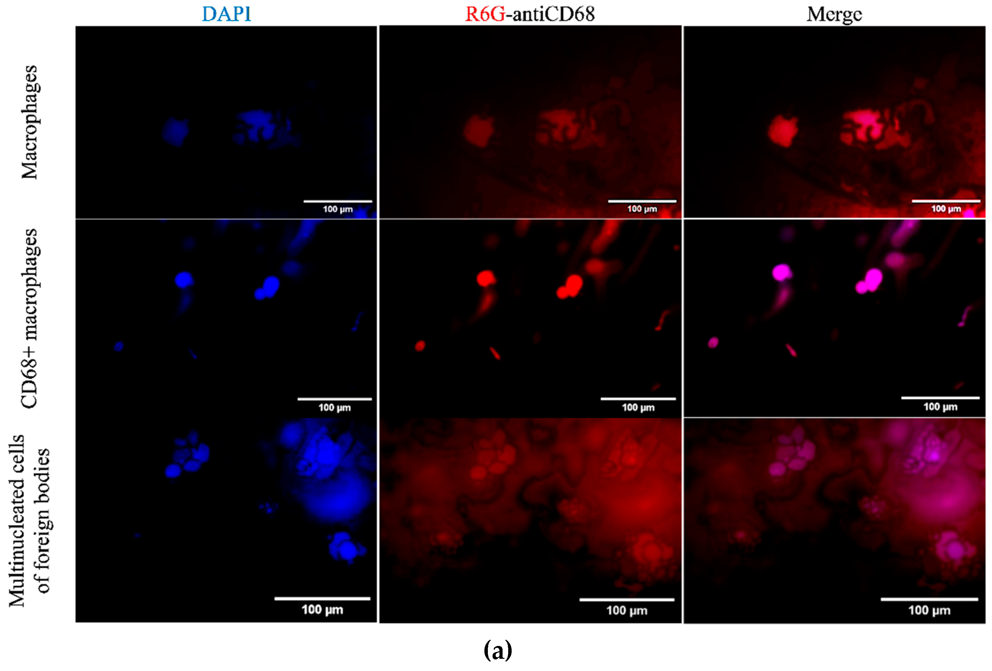 Preprints 171404 g003a