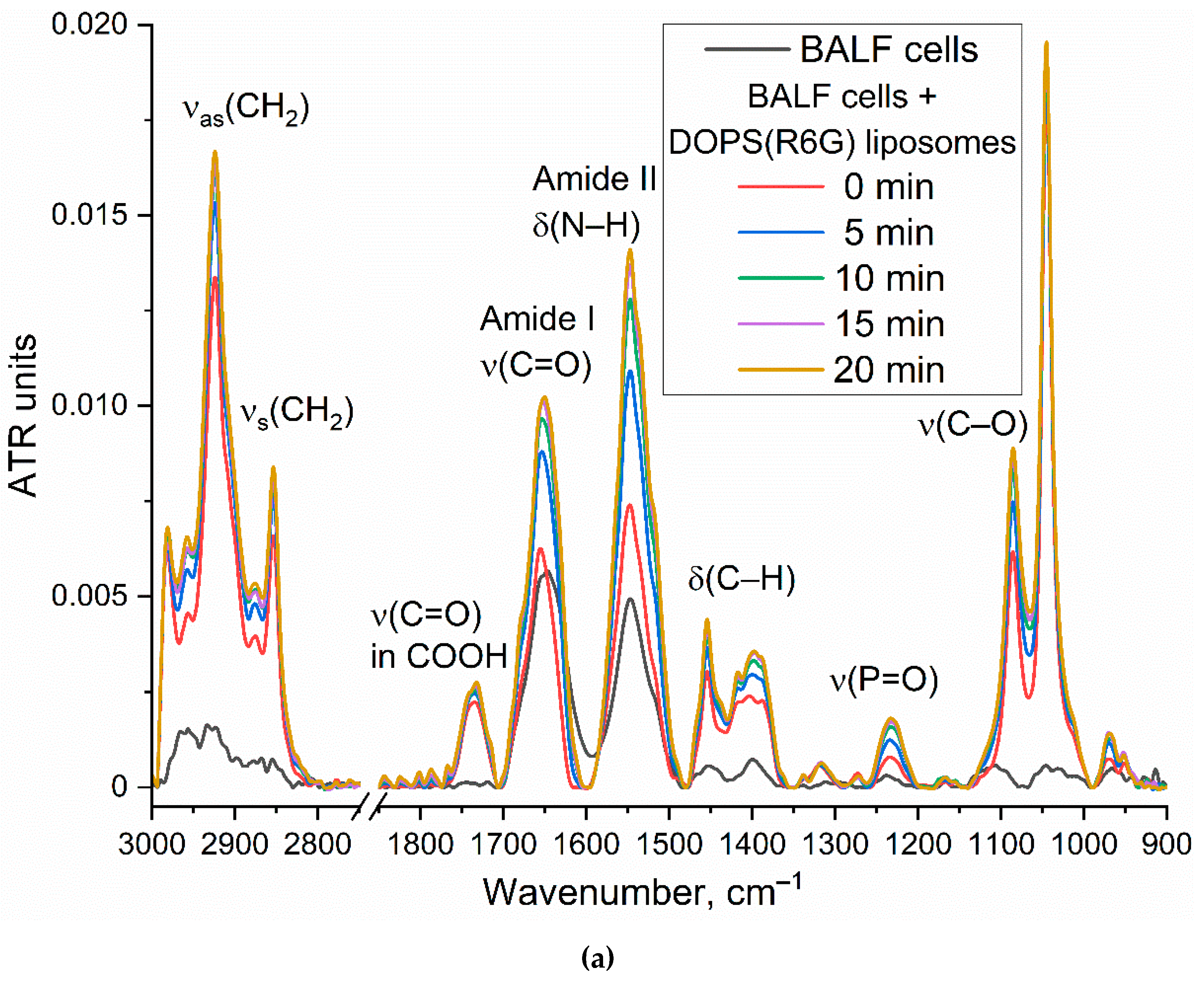 Preprints 171404 g004a