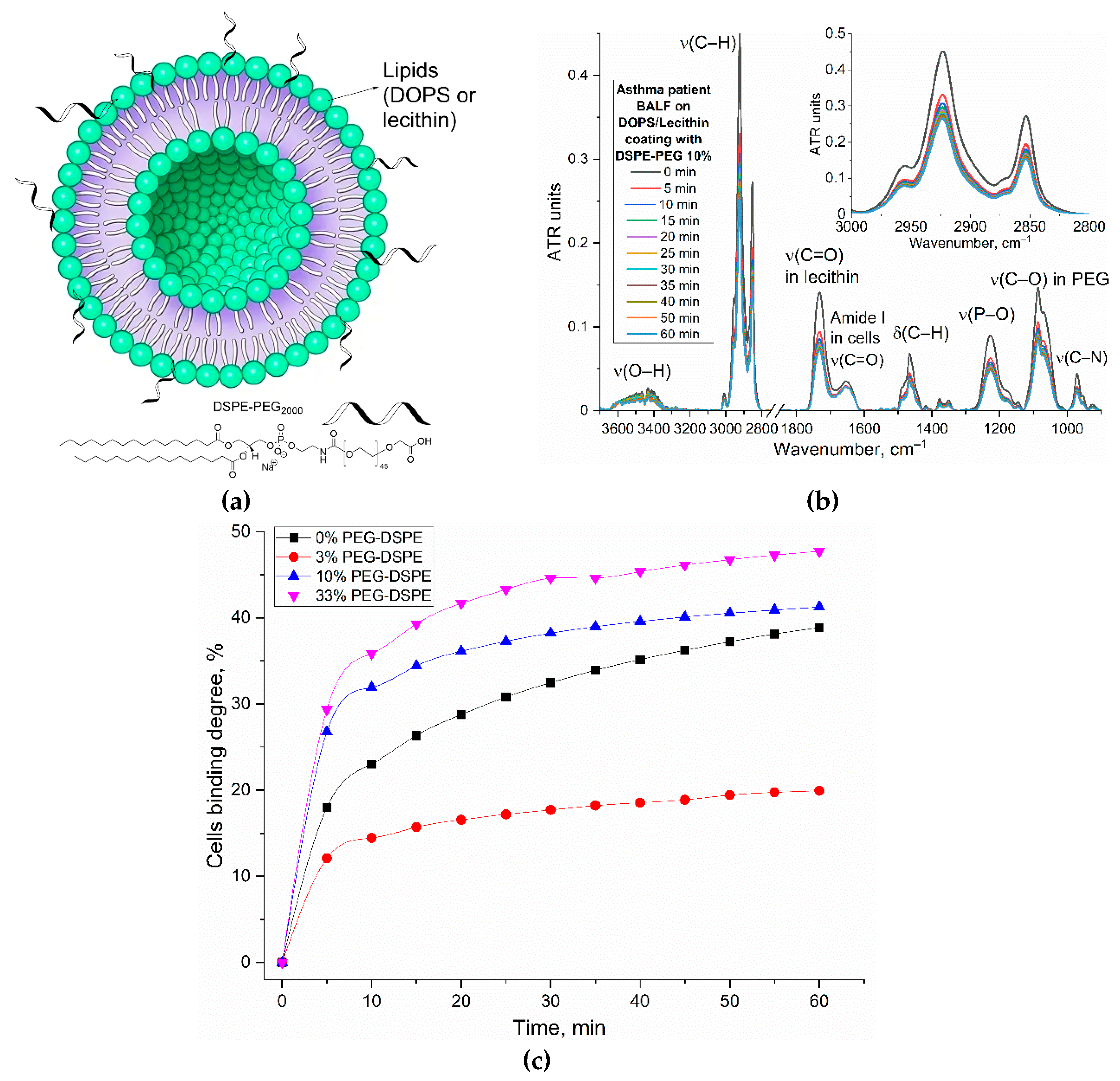 Preprints 171404 g006
