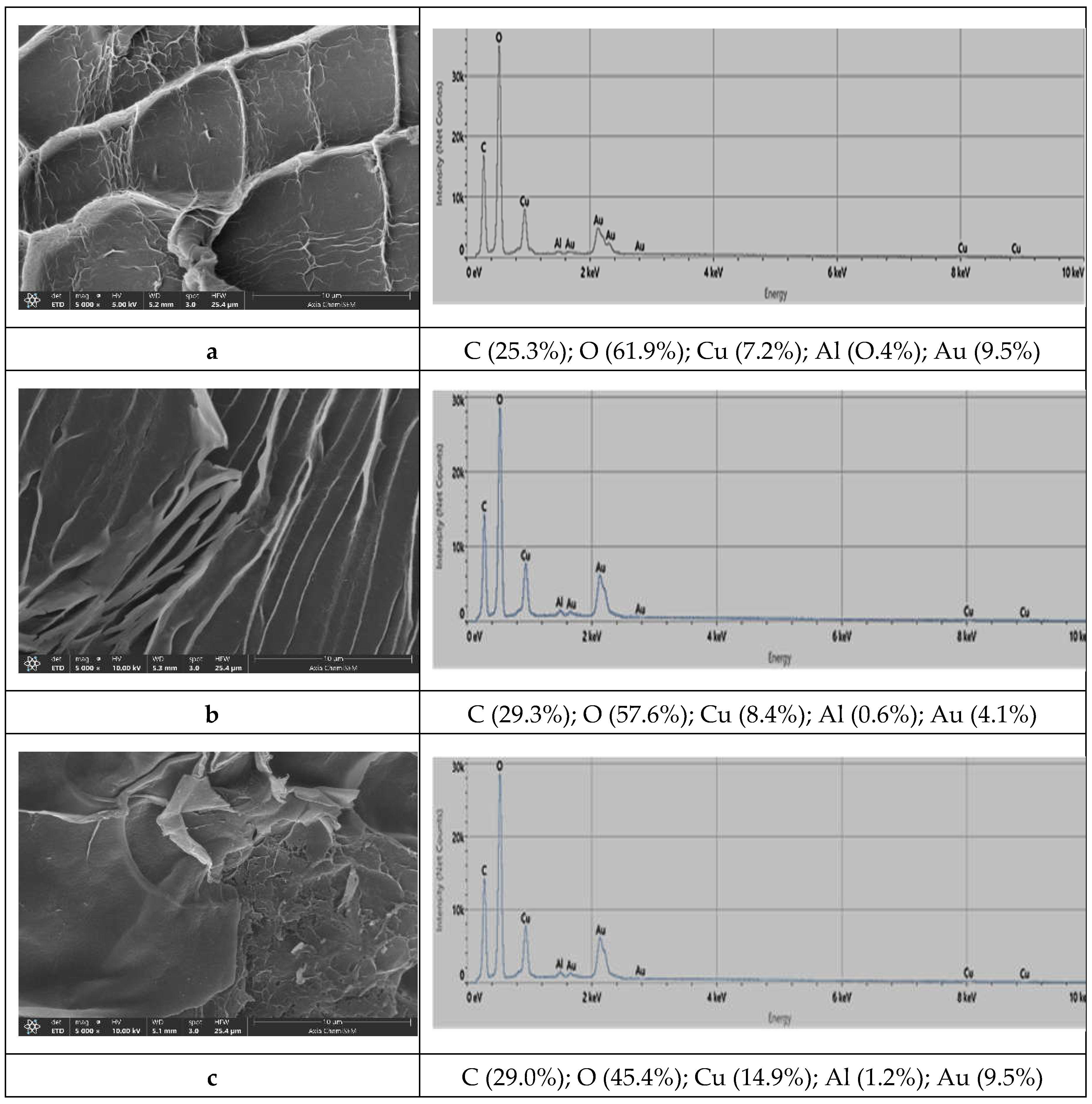 Preprints 107005 g002