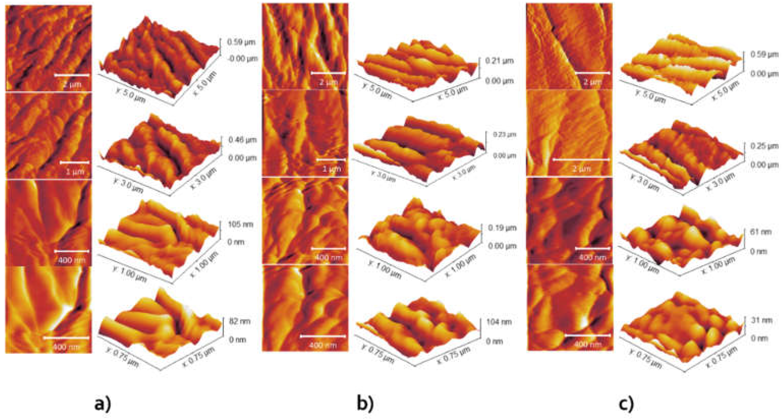 Preprints 107005 g003