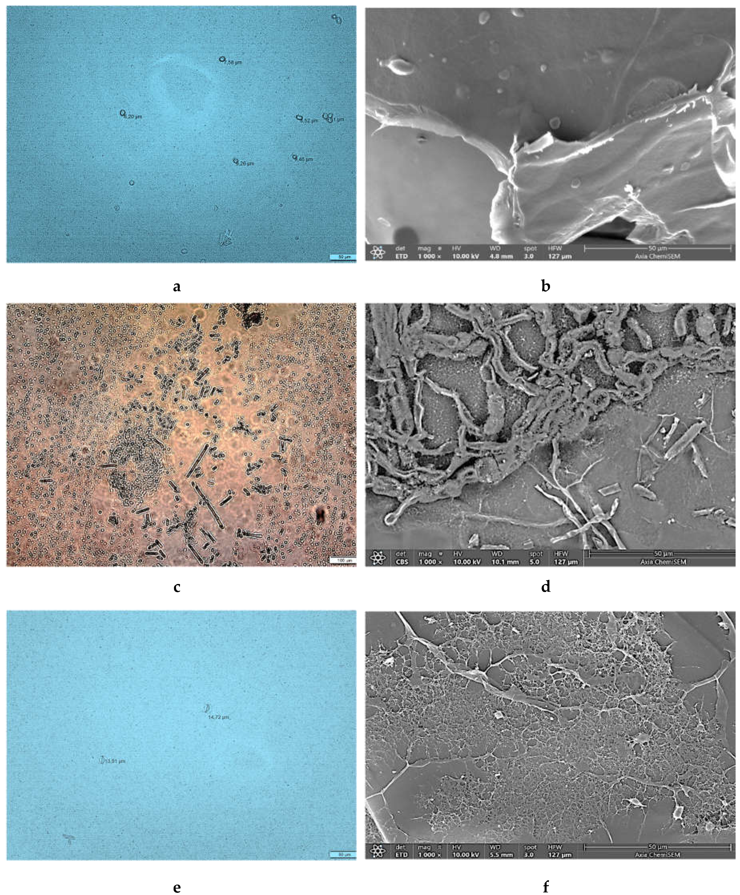 Preprints 107005 g008