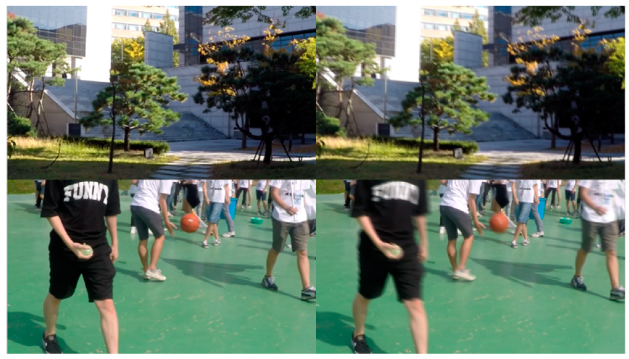 Preprints 149463 g006