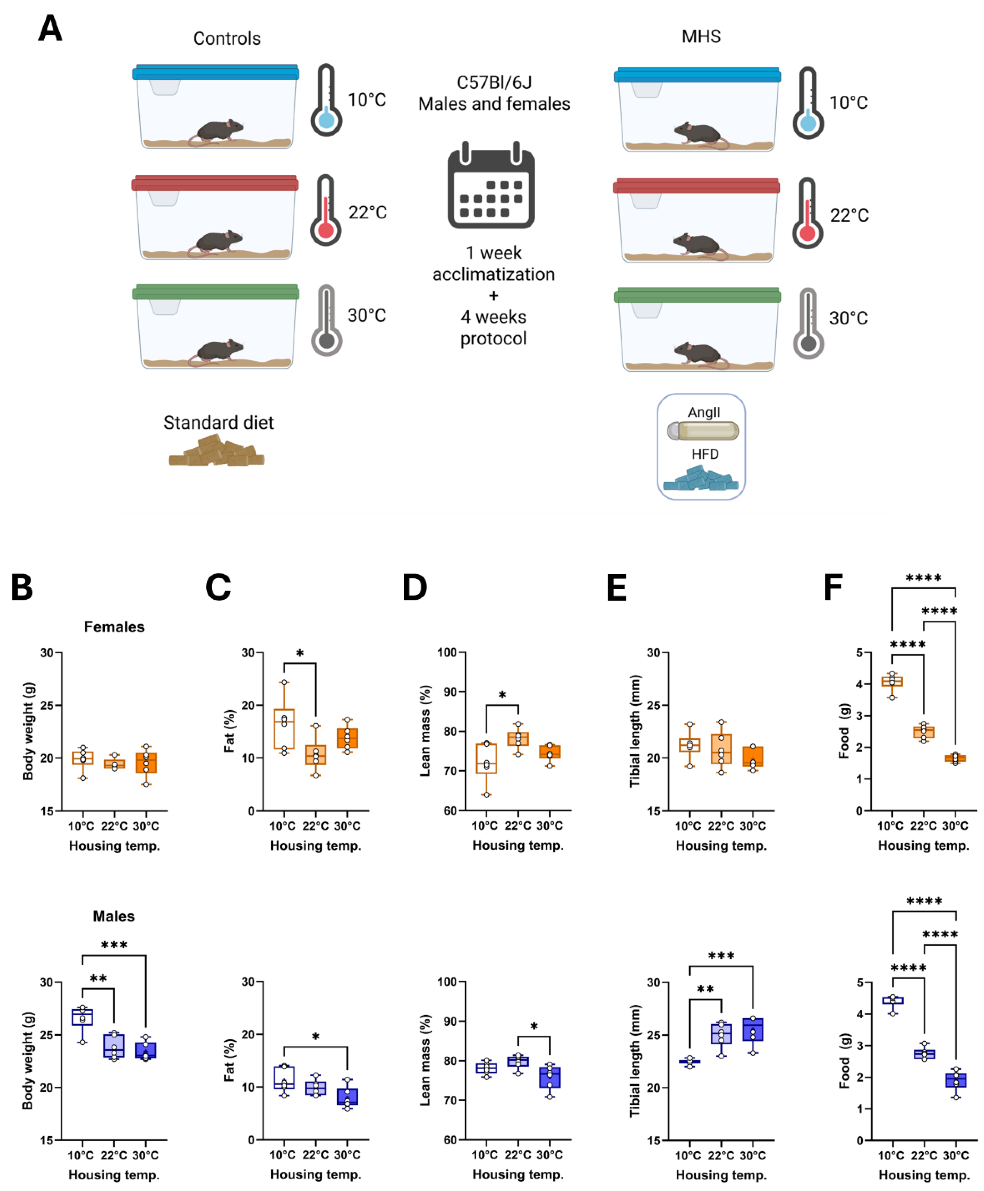 Preprints 166642 g001