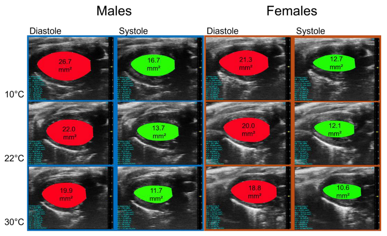 Preprints 166642 g003