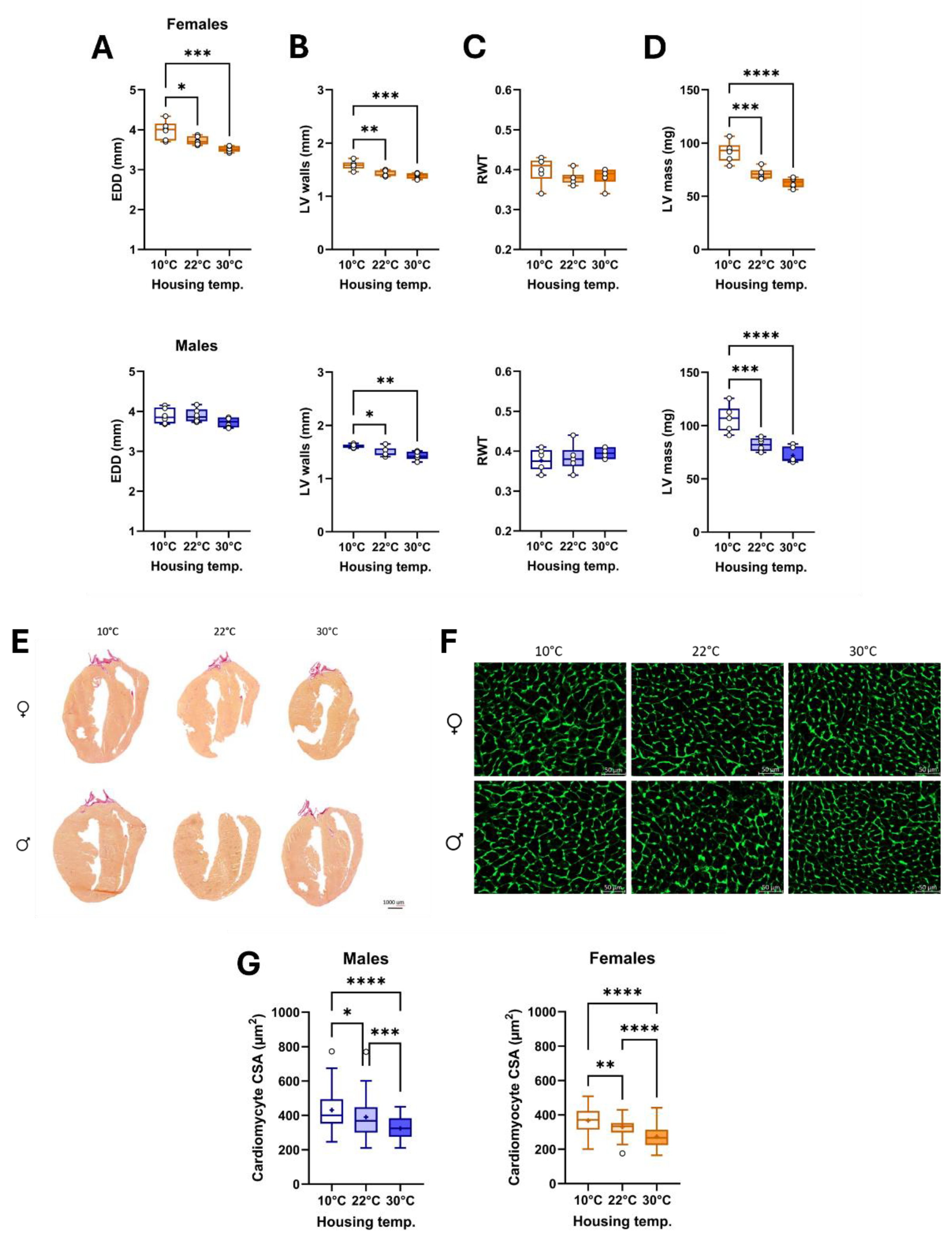 Preprints 166642 g004