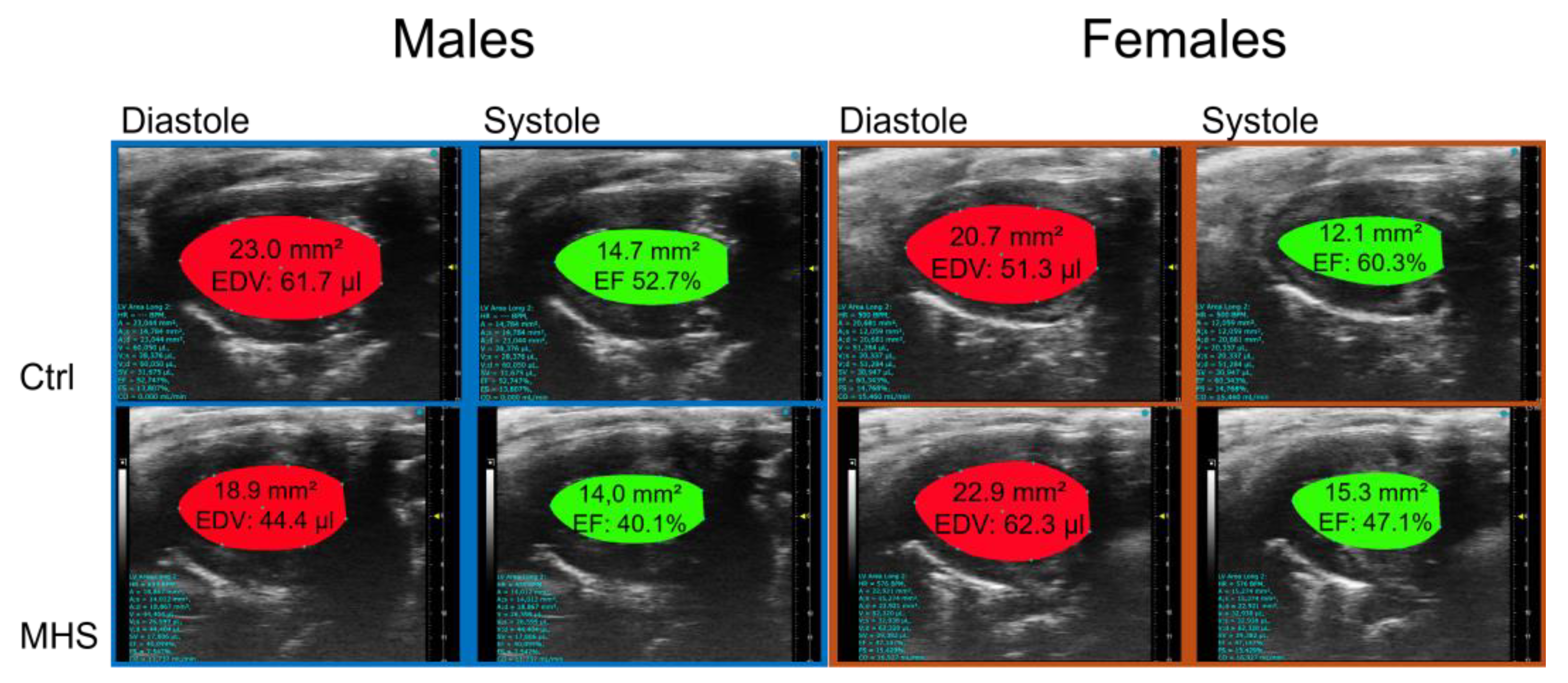 Preprints 166642 g007