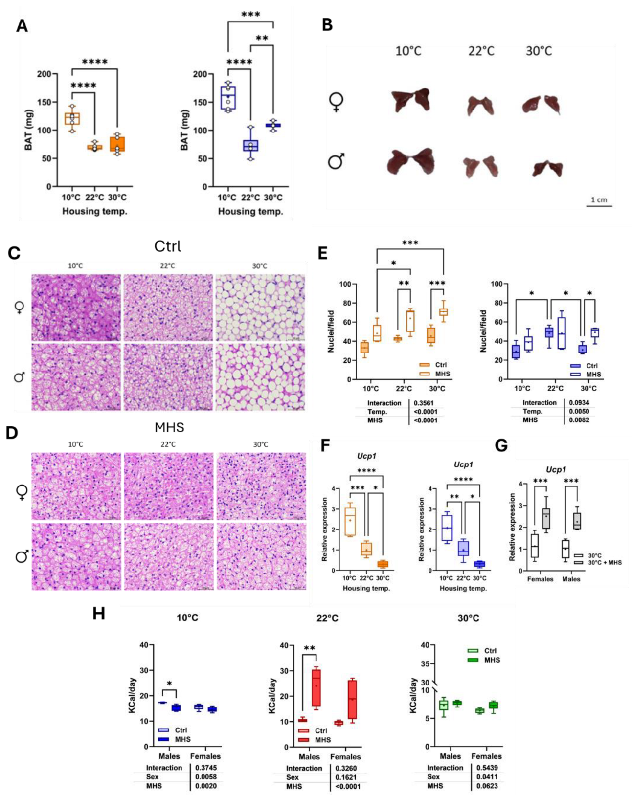 Preprints 166642 g009