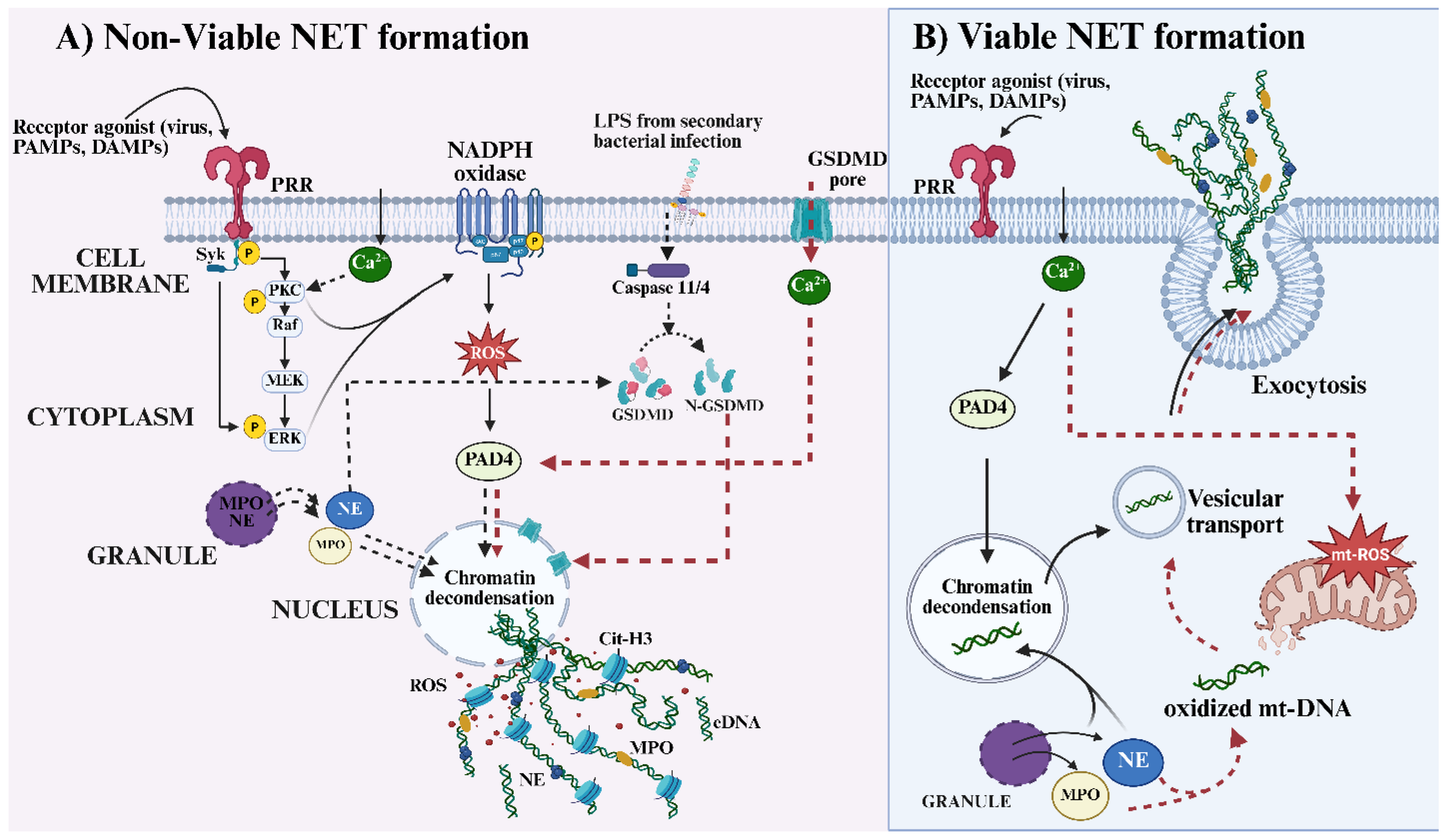 Preprints 198514 g001