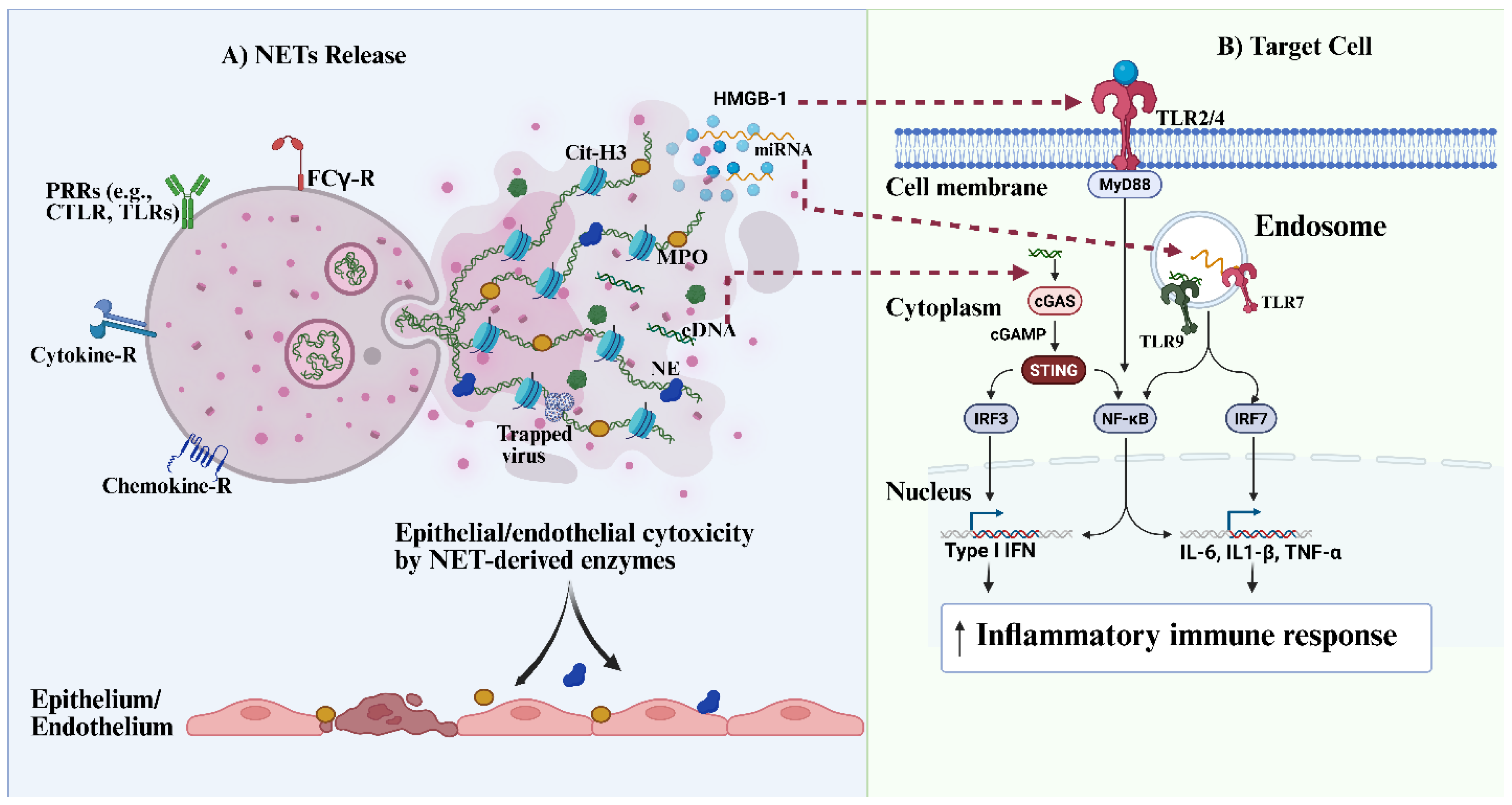 Preprints 198514 g002