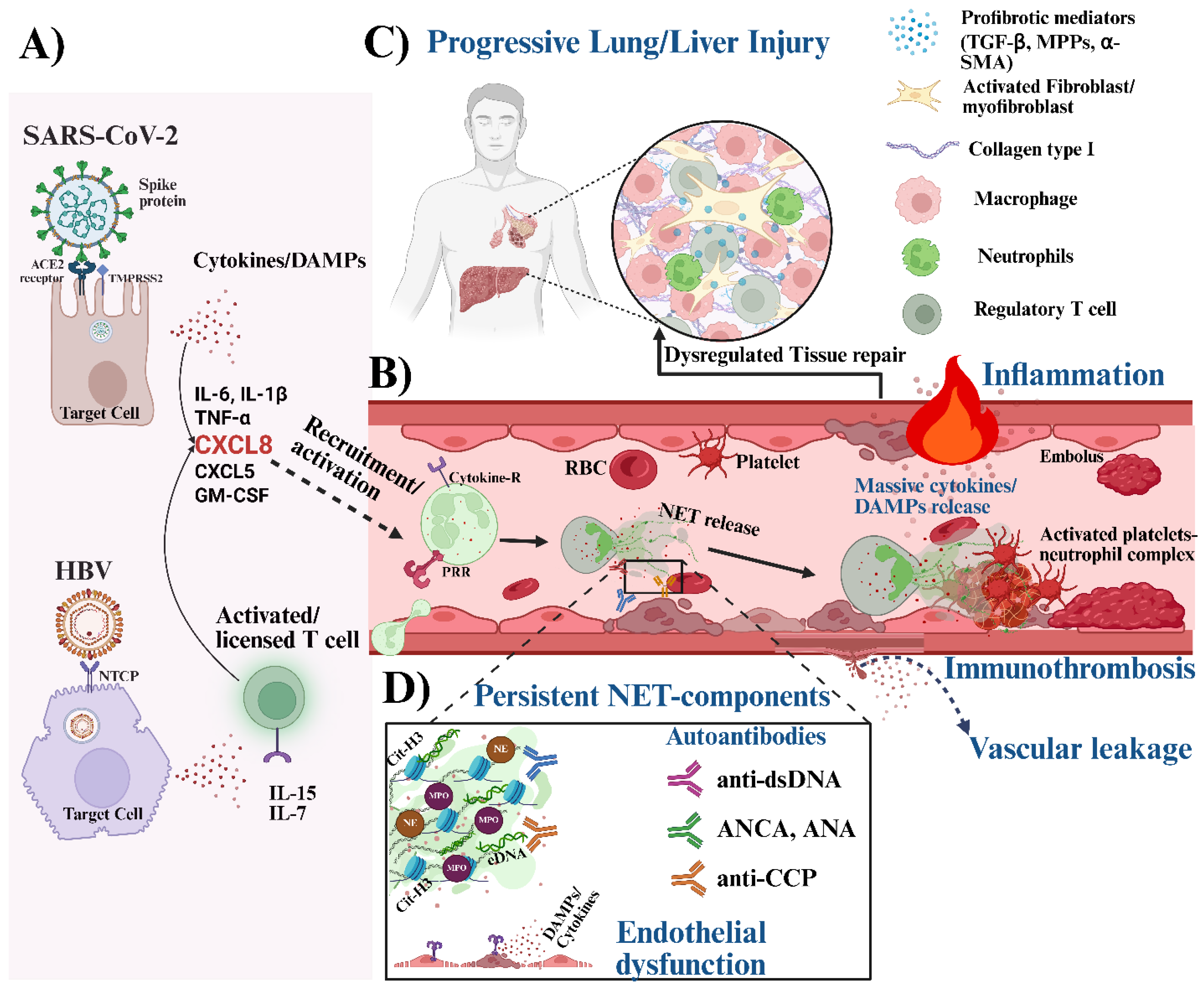 Preprints 198514 g003