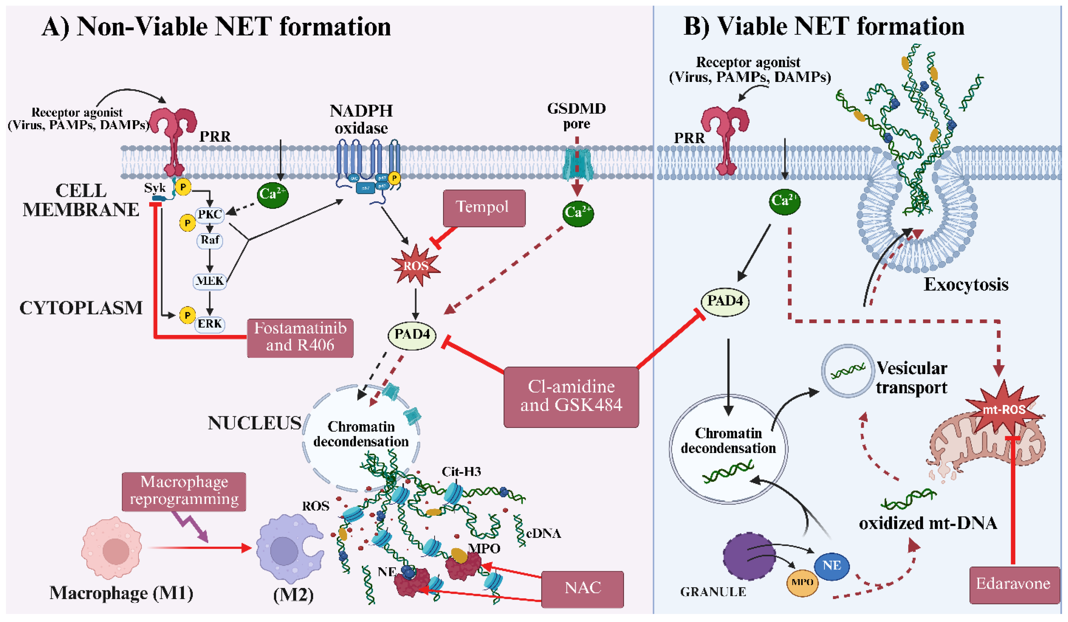 Preprints 198514 g004