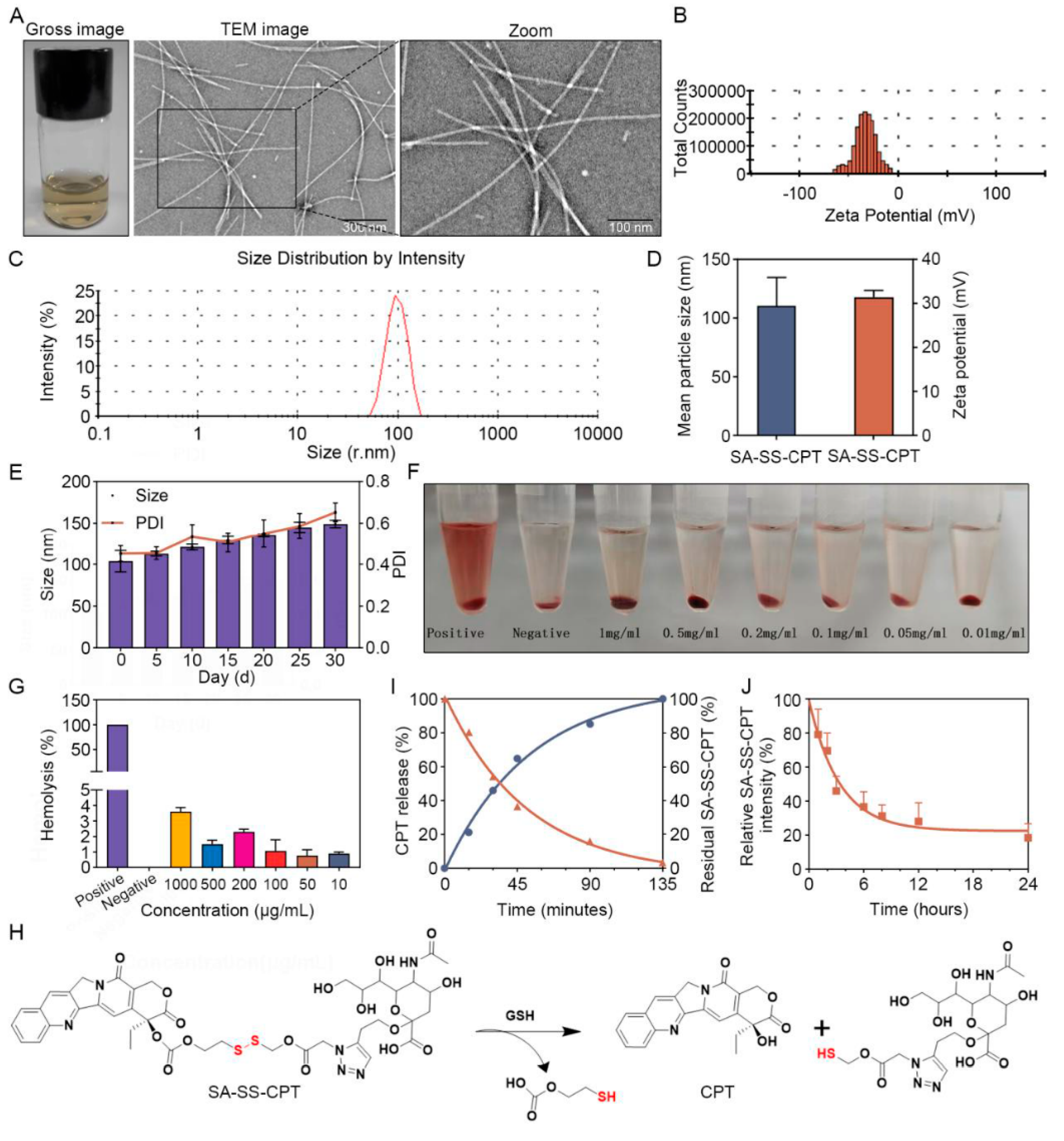 Preprints 202497 g002