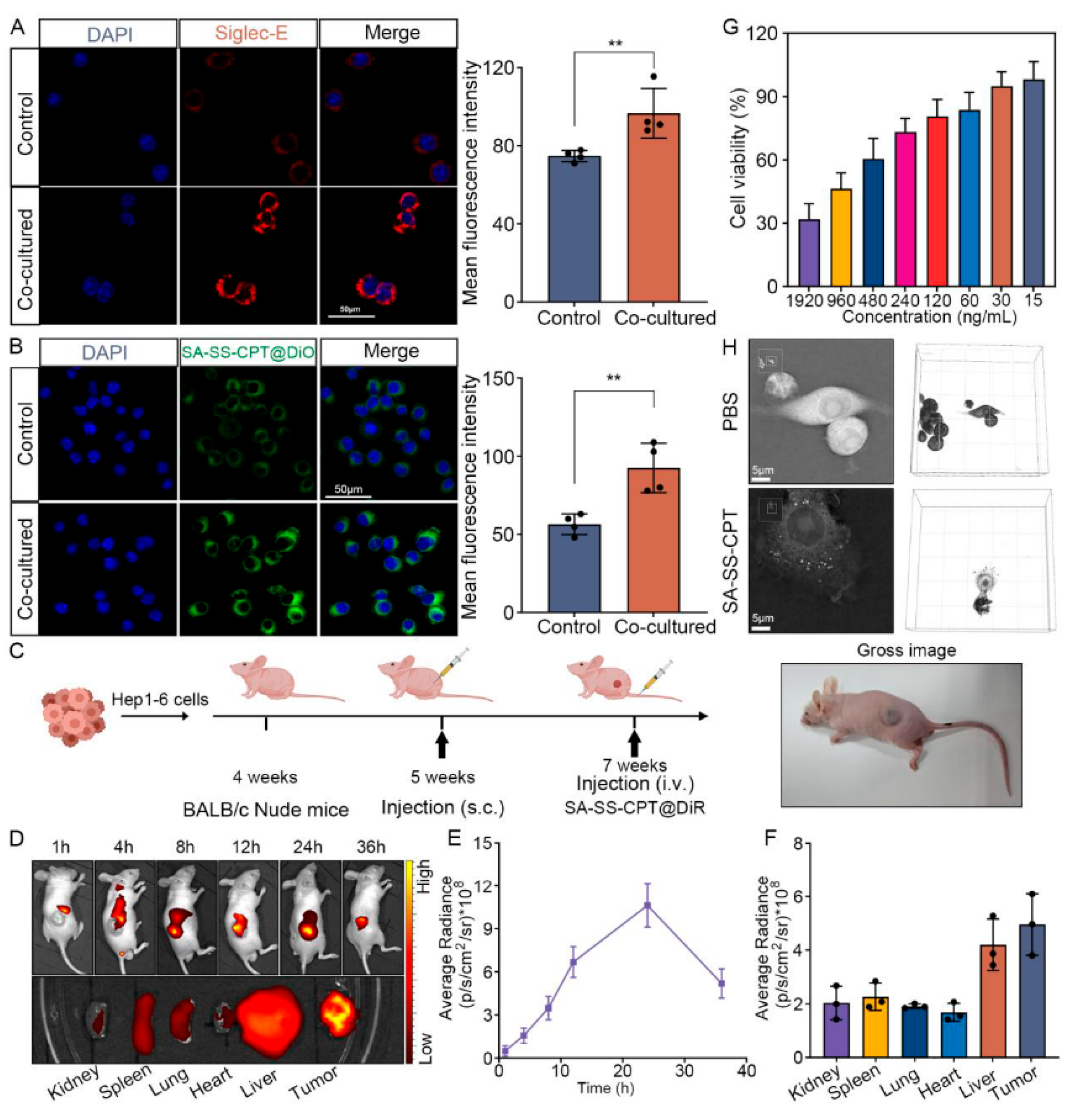 Preprints 202497 g003