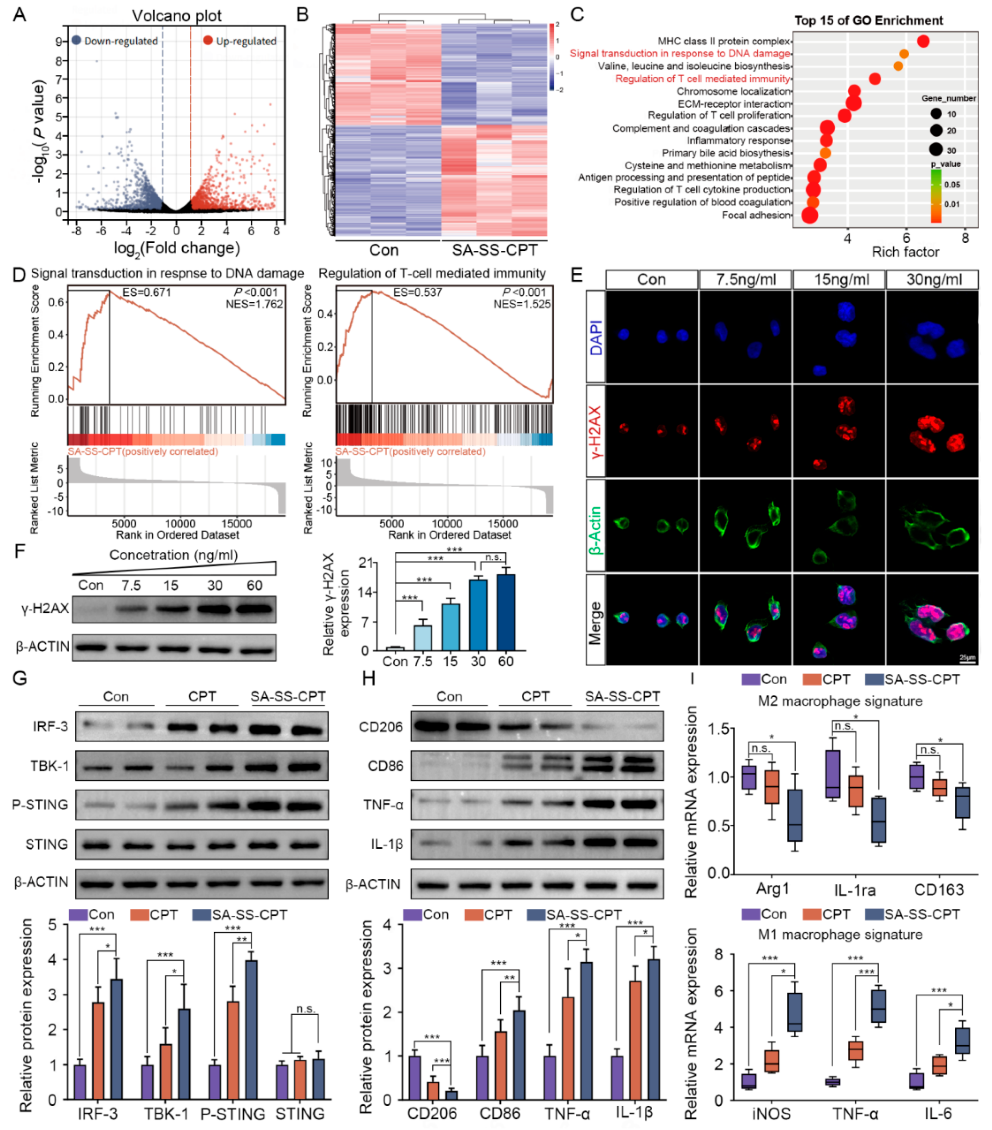 Preprints 202497 g004