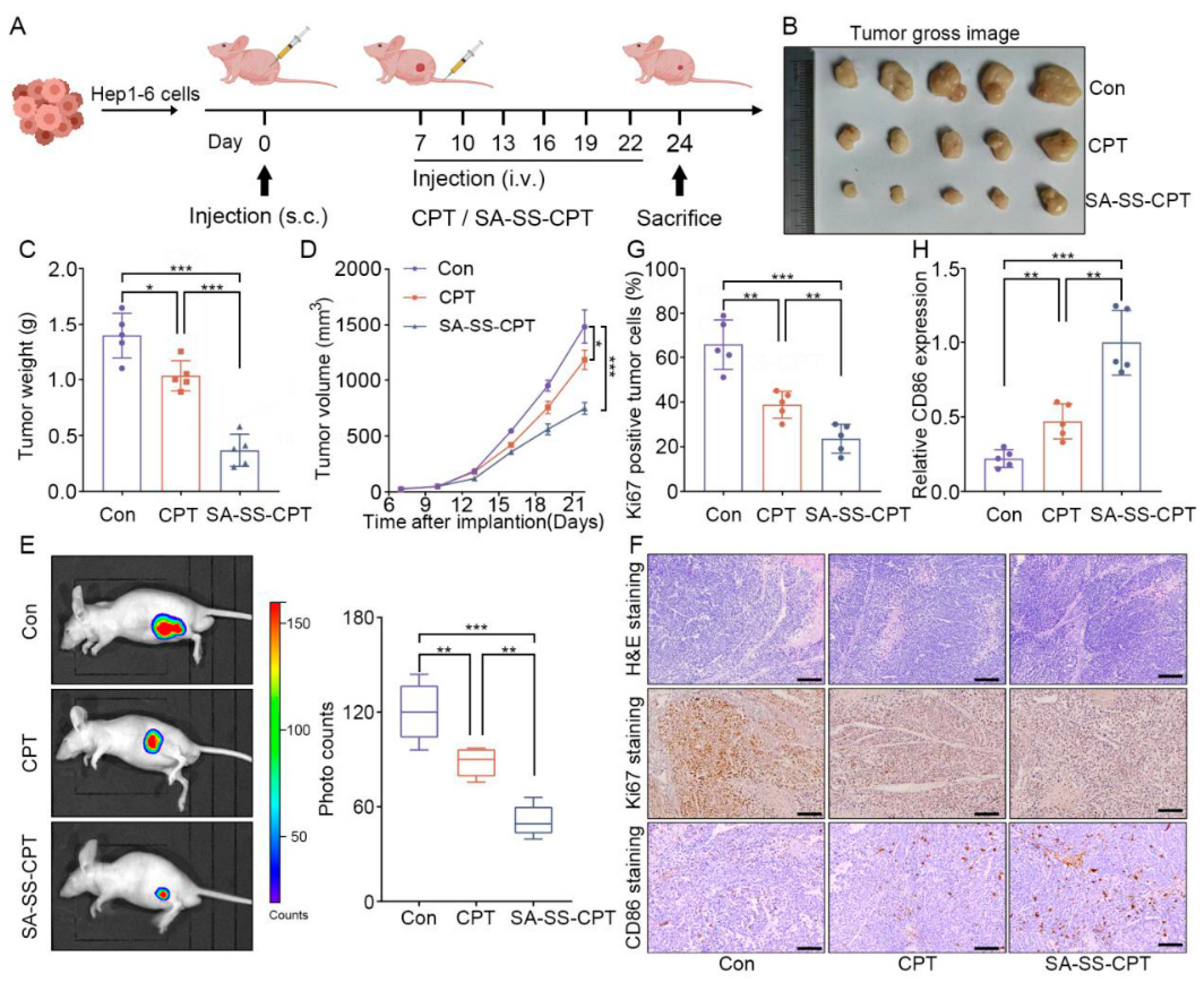 Preprints 202497 g005