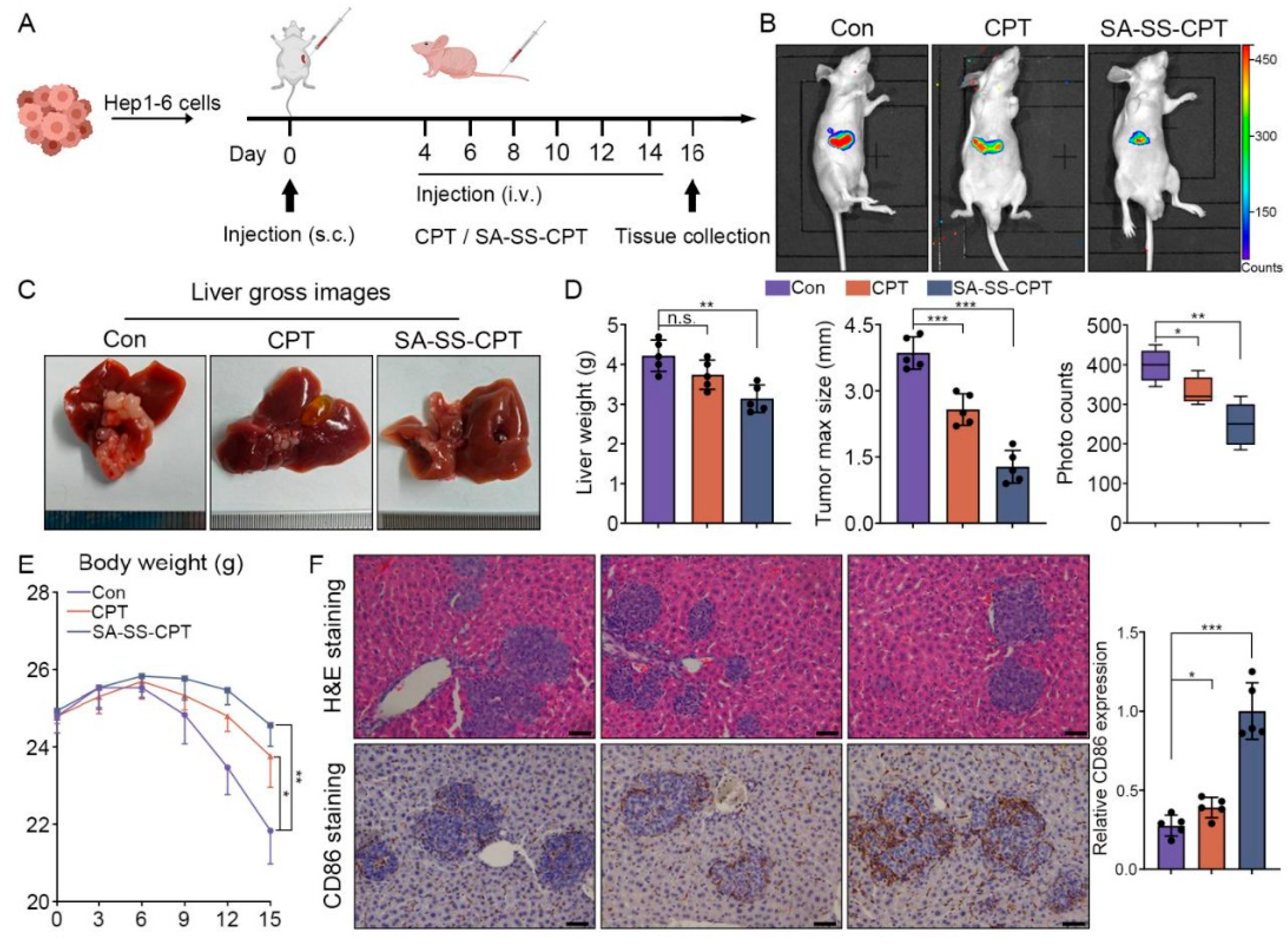 Preprints 202497 g006