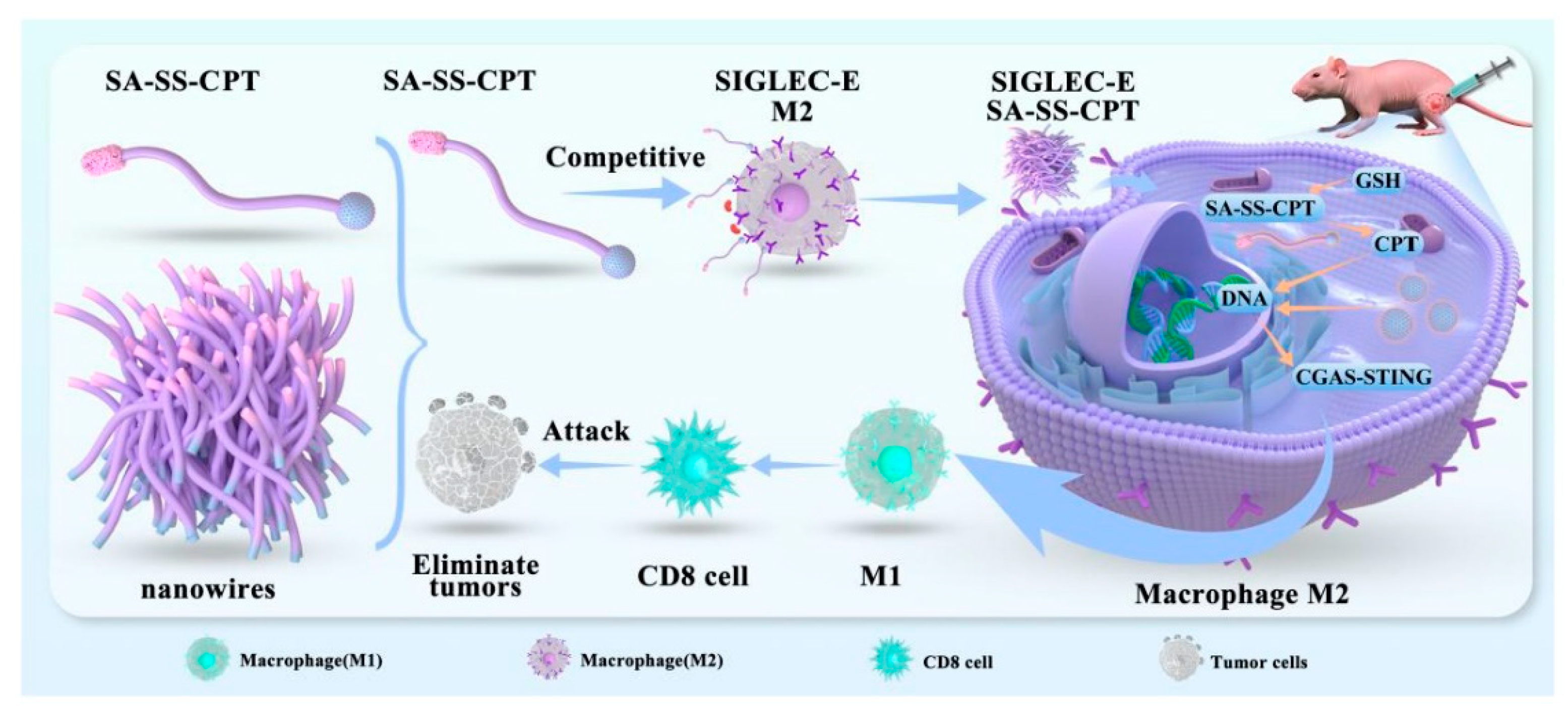 Preprints 202497 sch001
