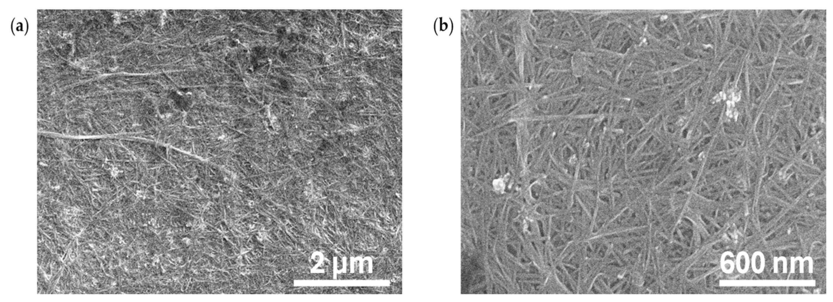 Preprints 185144 g003