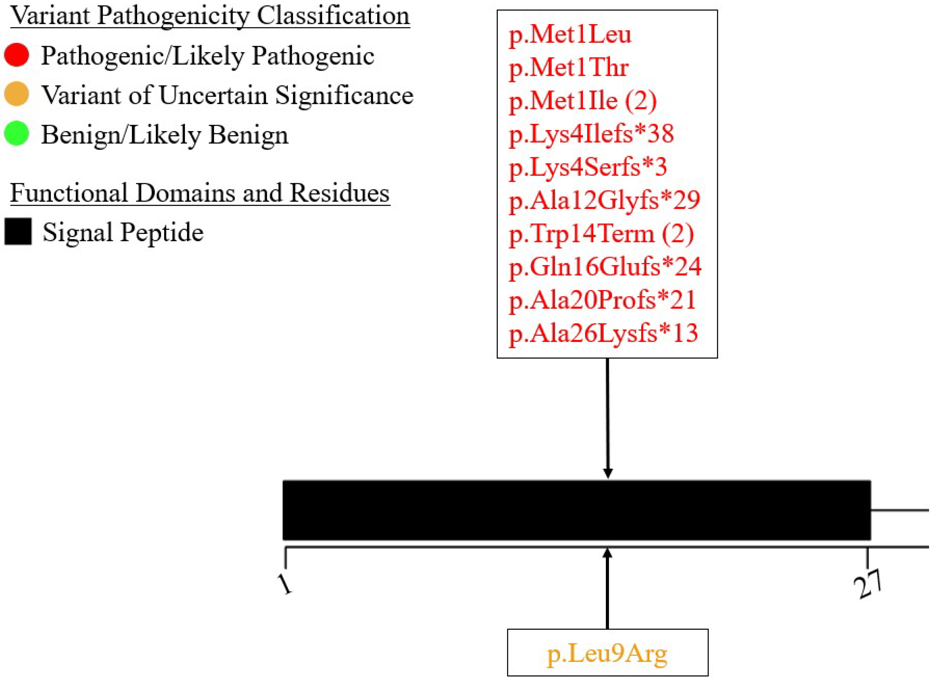 Preprints 143165 g001