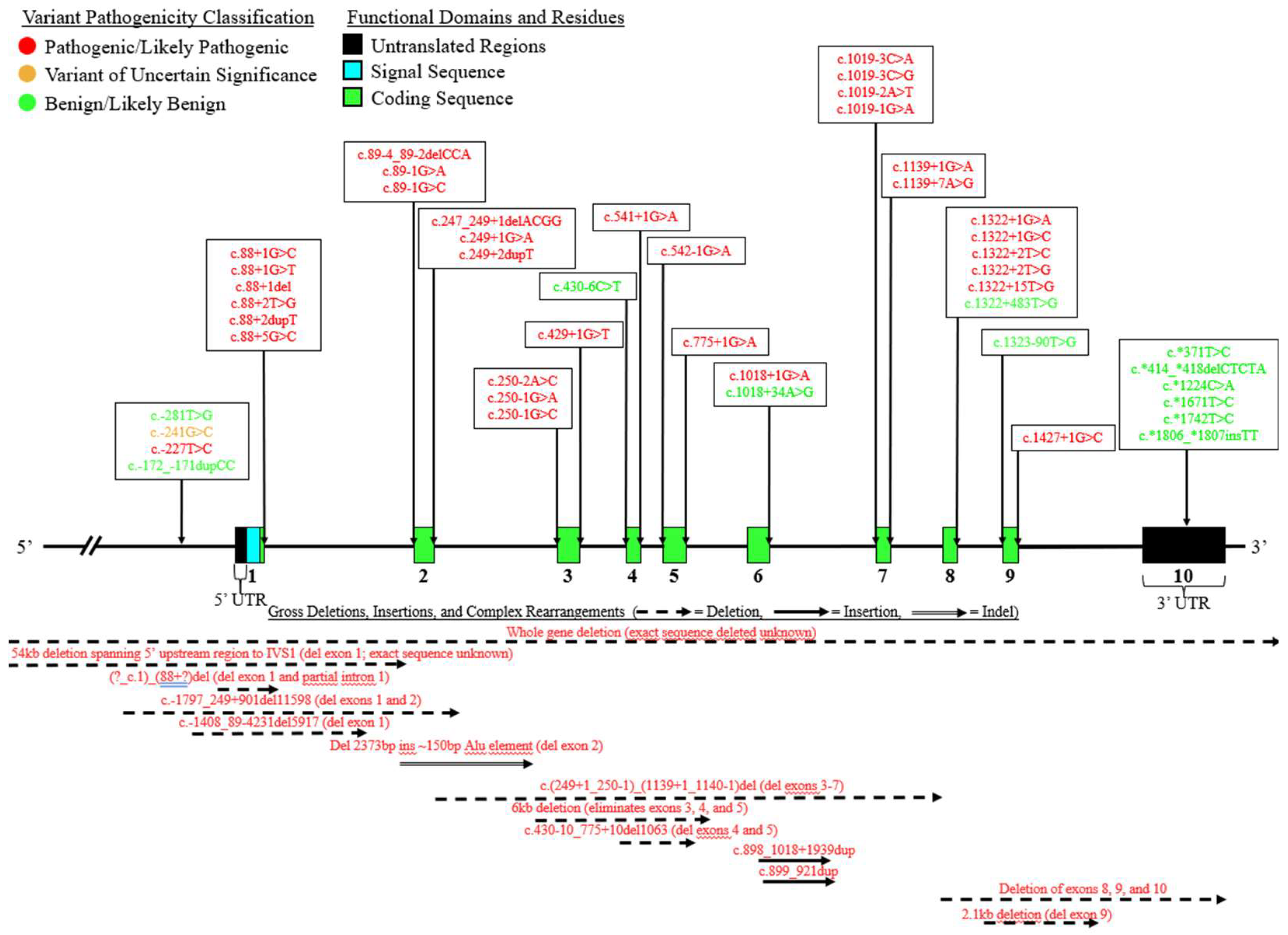 Preprints 143165 g010