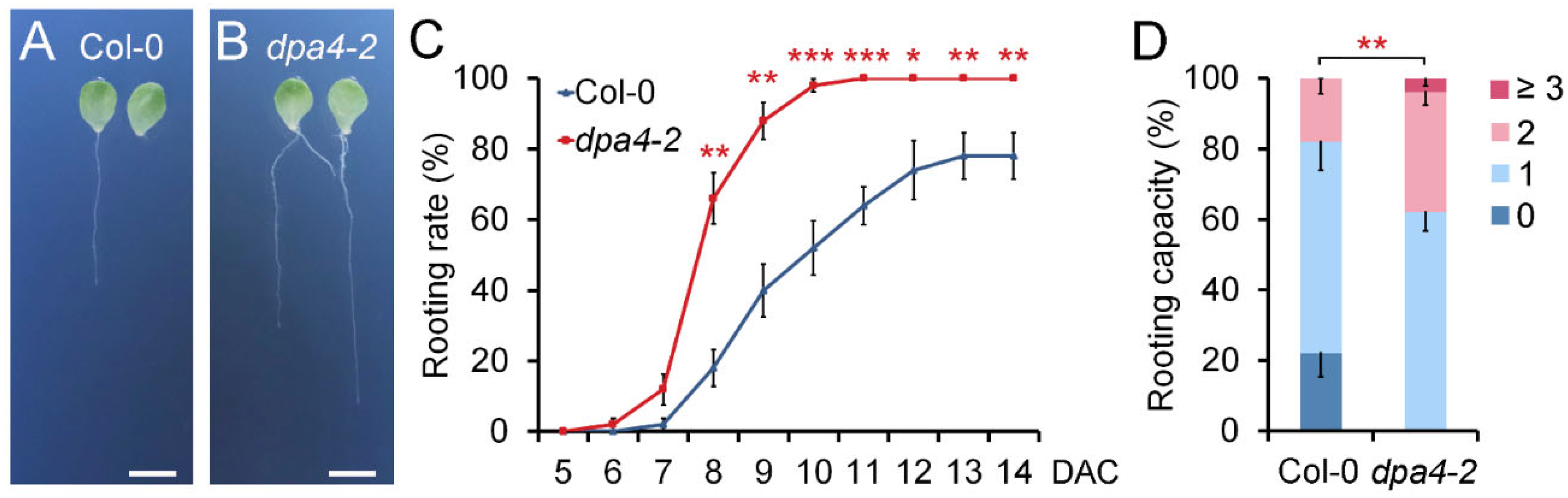 Preprints 179004 g001
